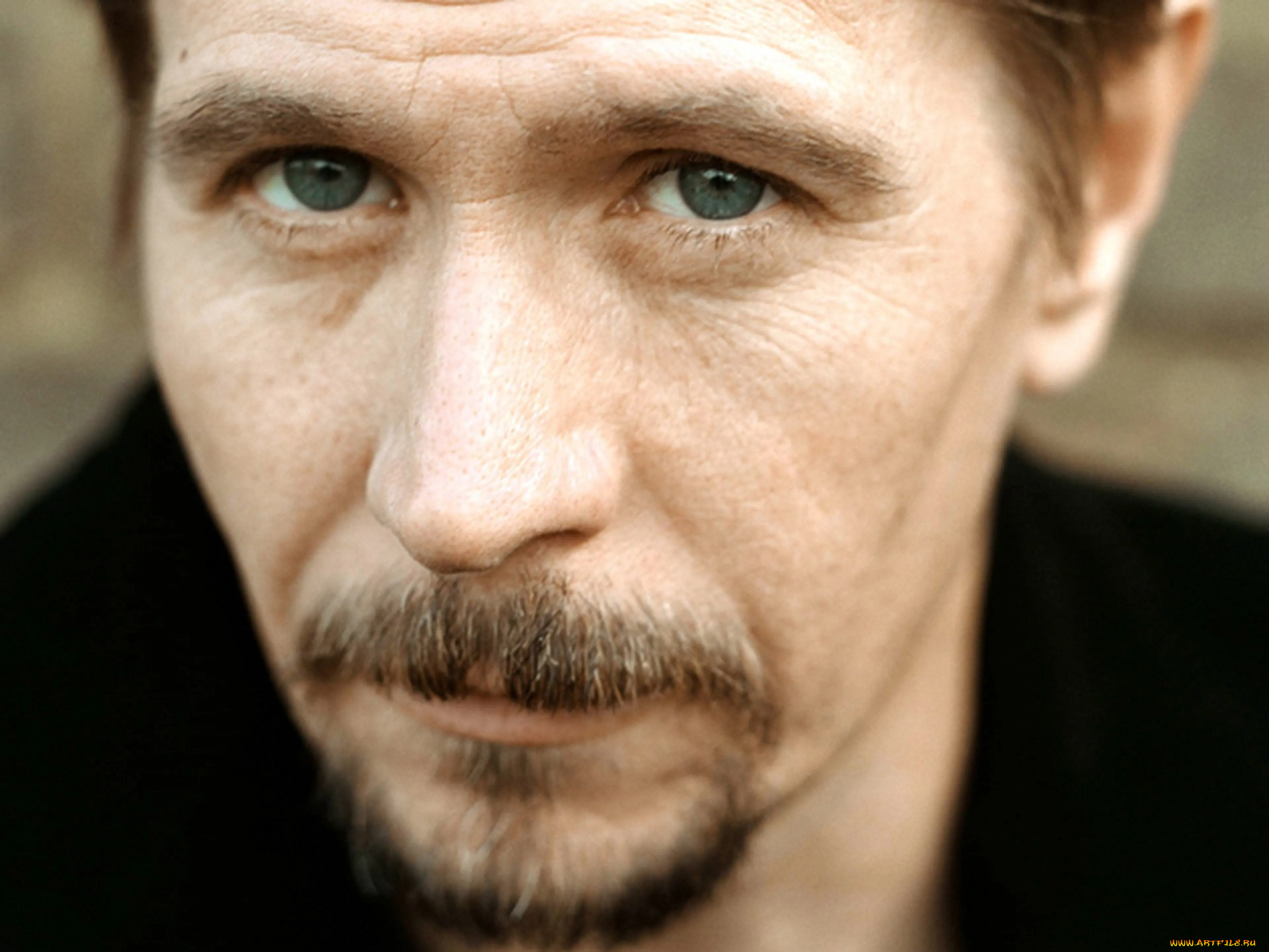 мужчины, gary, oldman, актер, лицо, усы