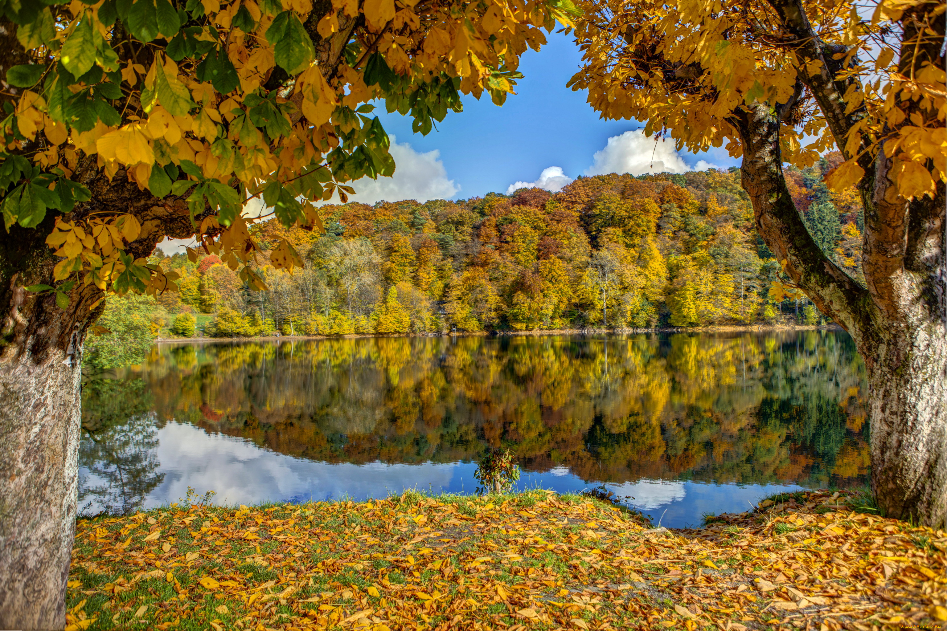 германия, ульмен, природа, реки, озера, река, осень, лес