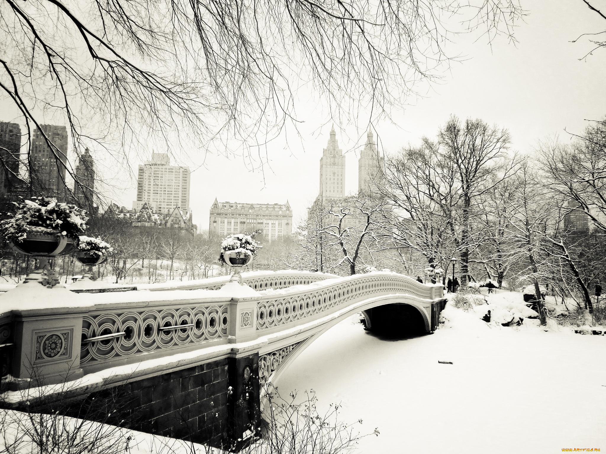 города, нью-йорк, , сша, клумбы, деревья, мост, здания, дома, парк, снег, город, зима