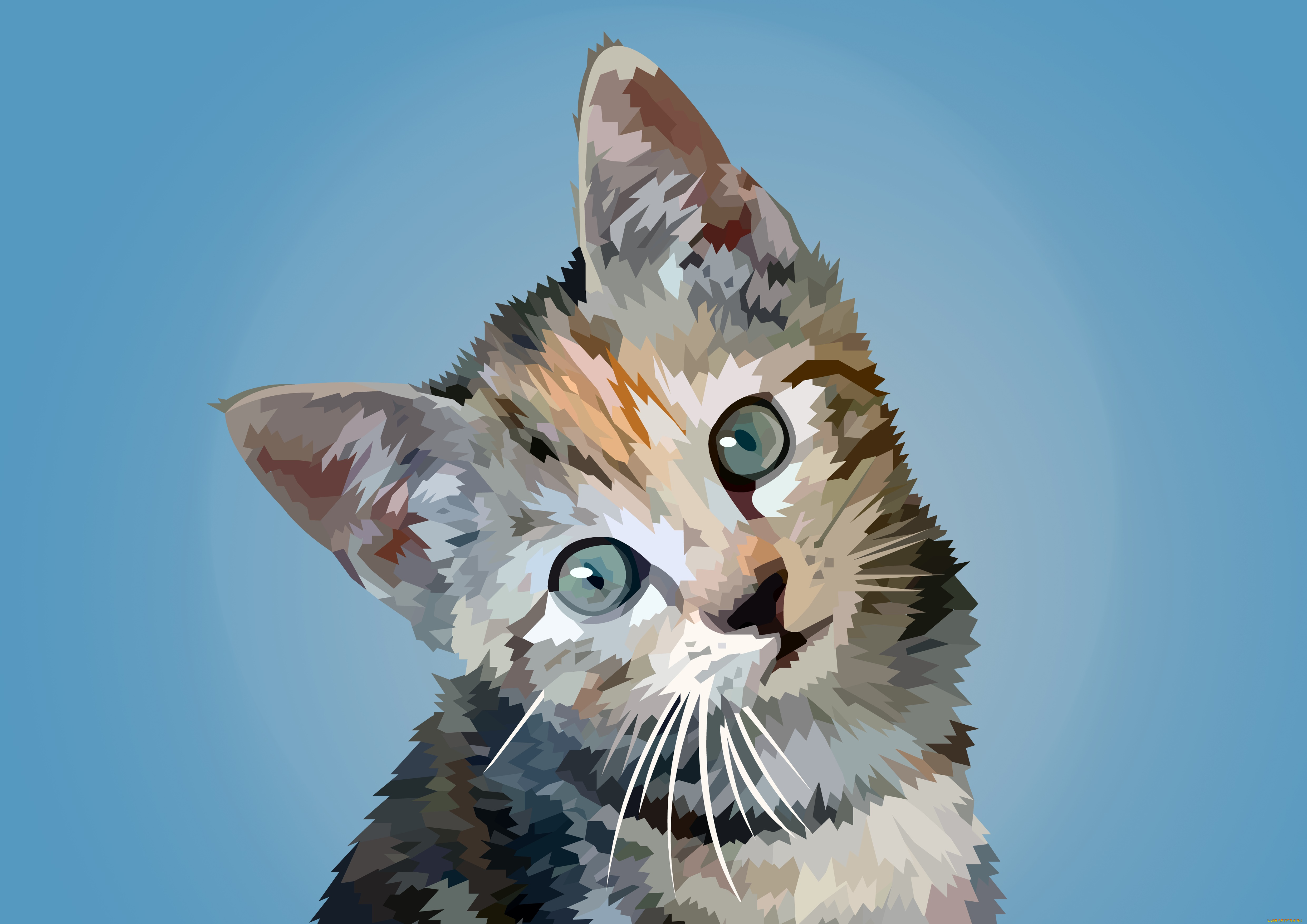 животные кот графика animals cat graphics скачать