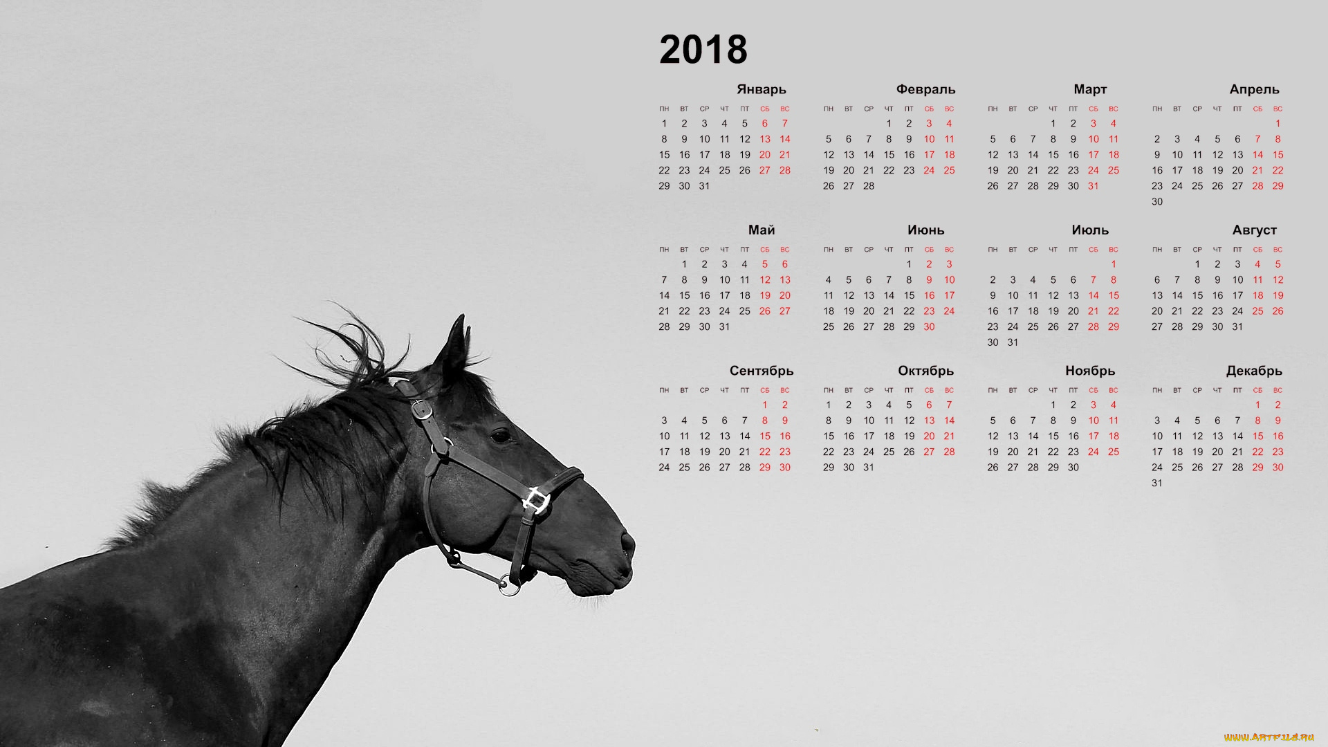 календари, животные, лошадь, 2018