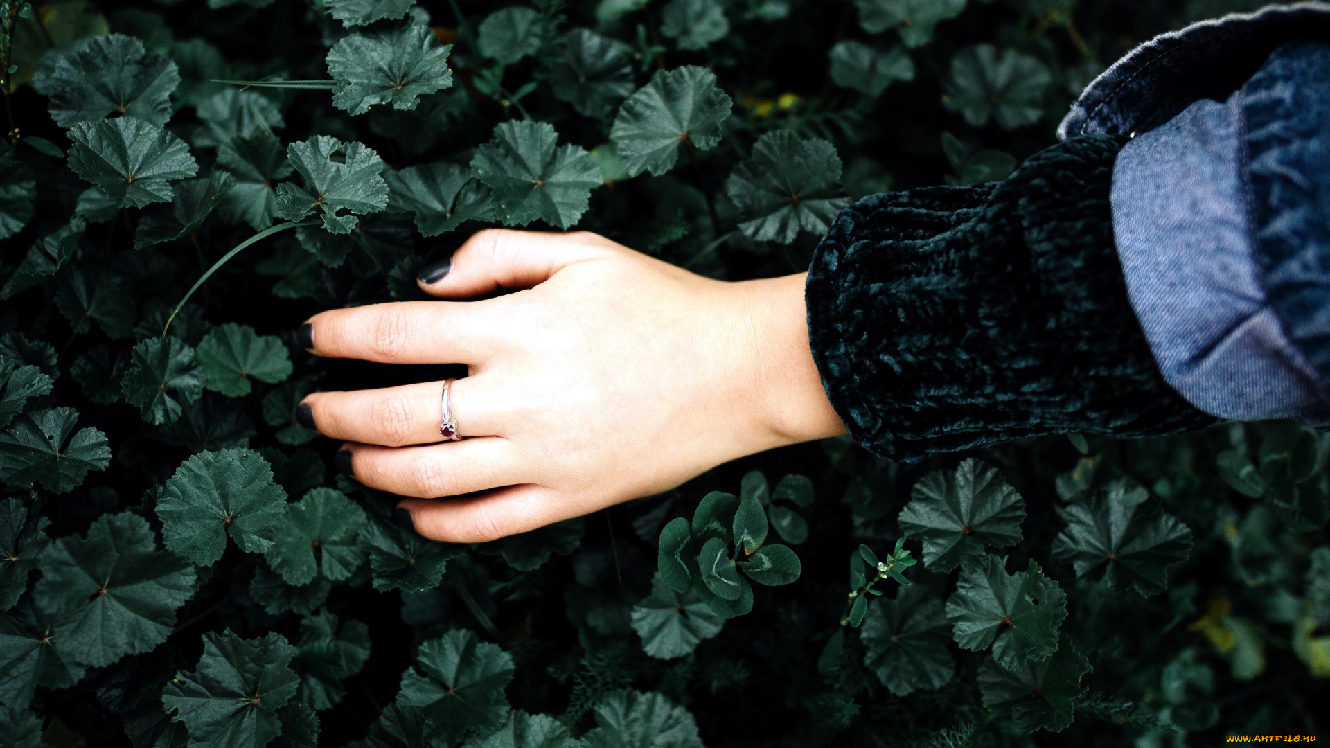 разное, руки, рука, листья, кольцо