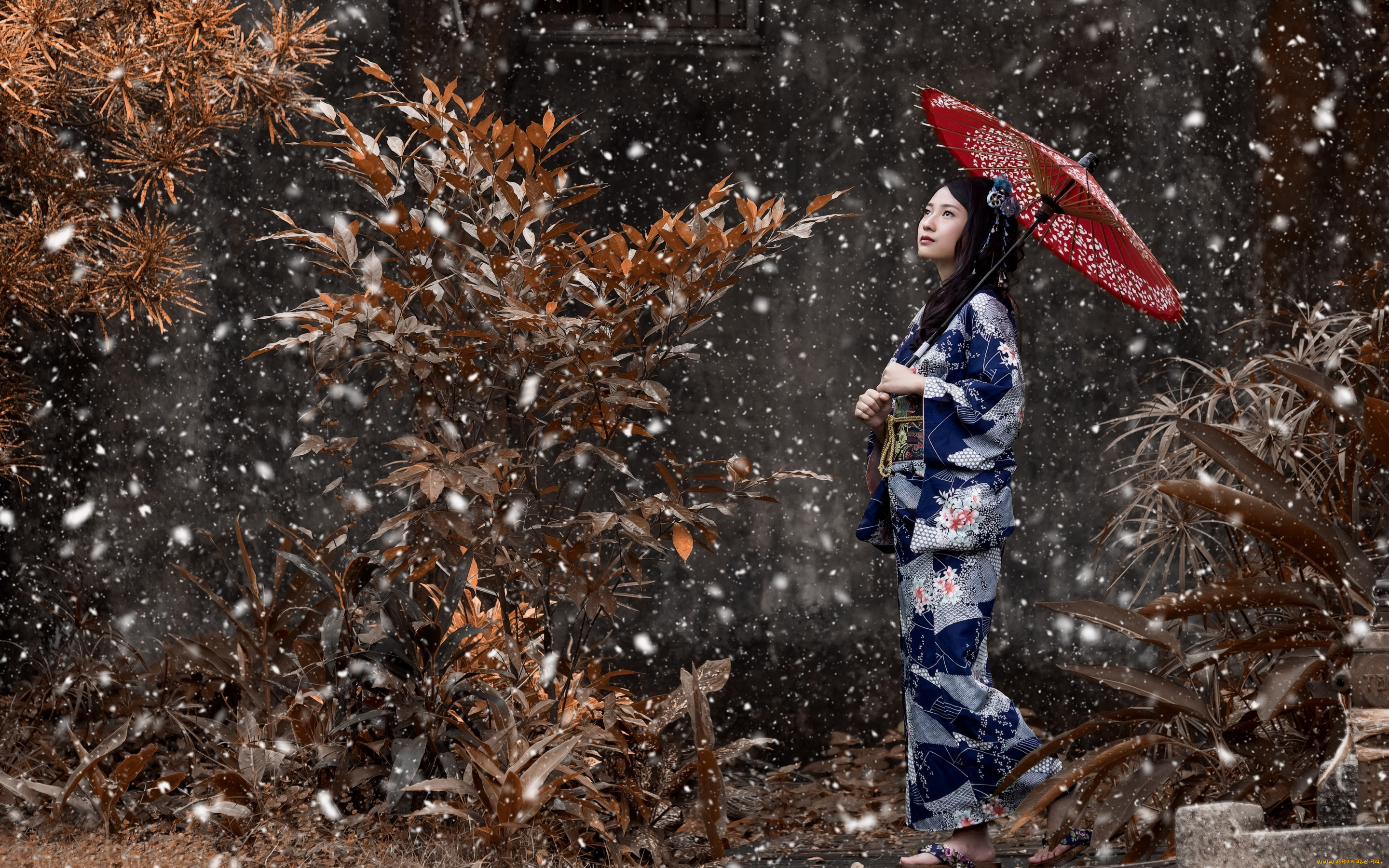 девушки, -unsort, , азиатки, девушка, кимоно, азиатка, японка, зонтик, снег, настроение