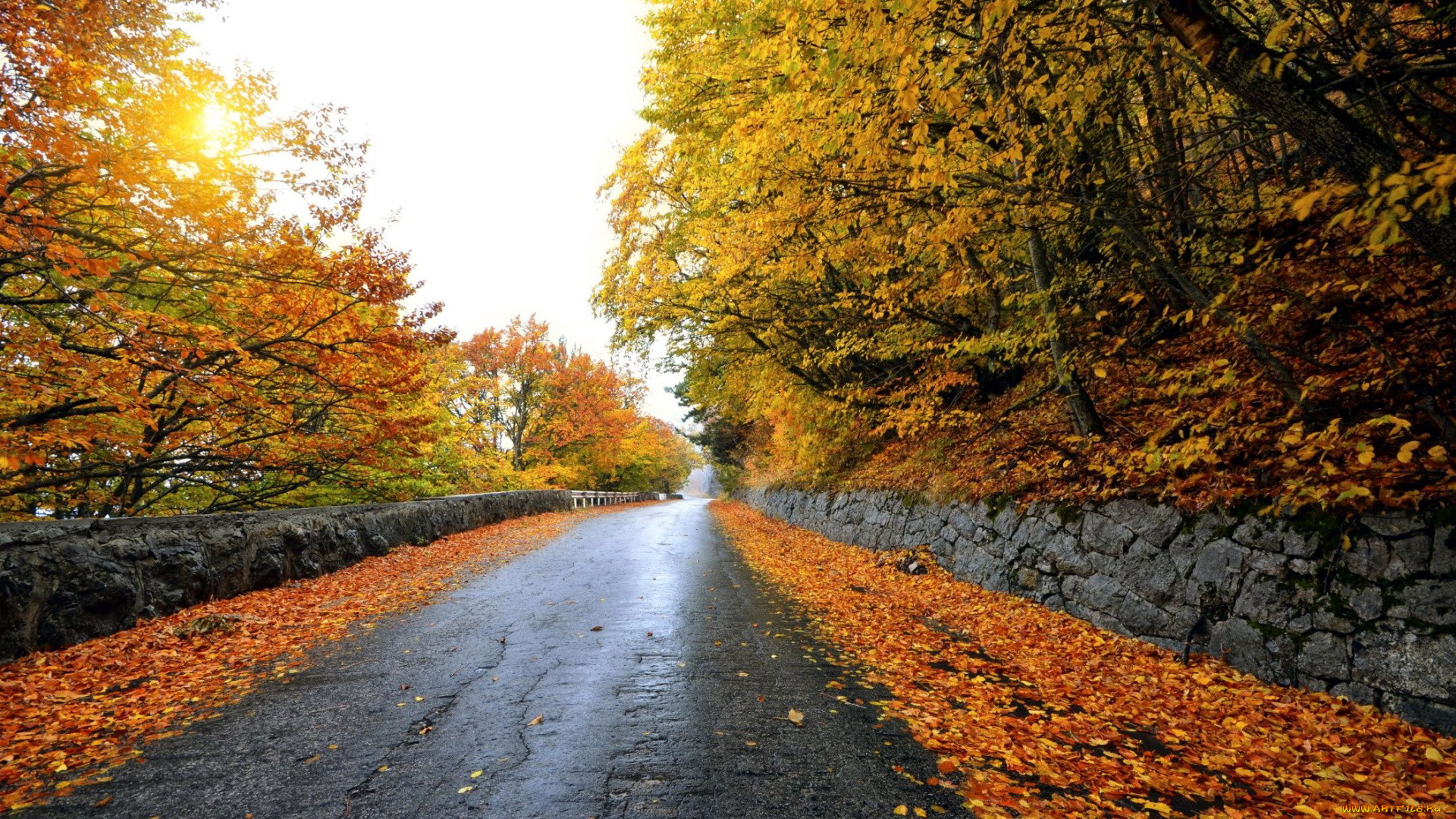природа, дороги, дорога, листопад, осень