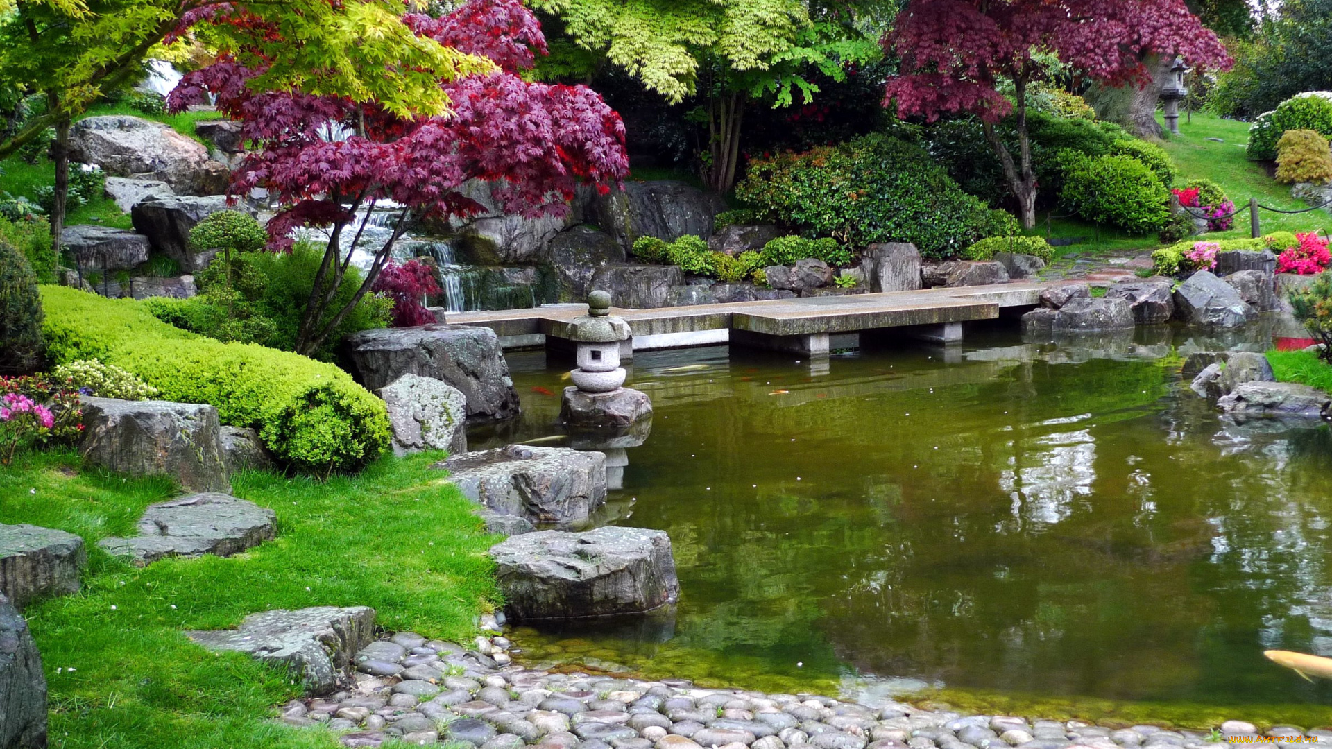 природа, парк, садик, японский