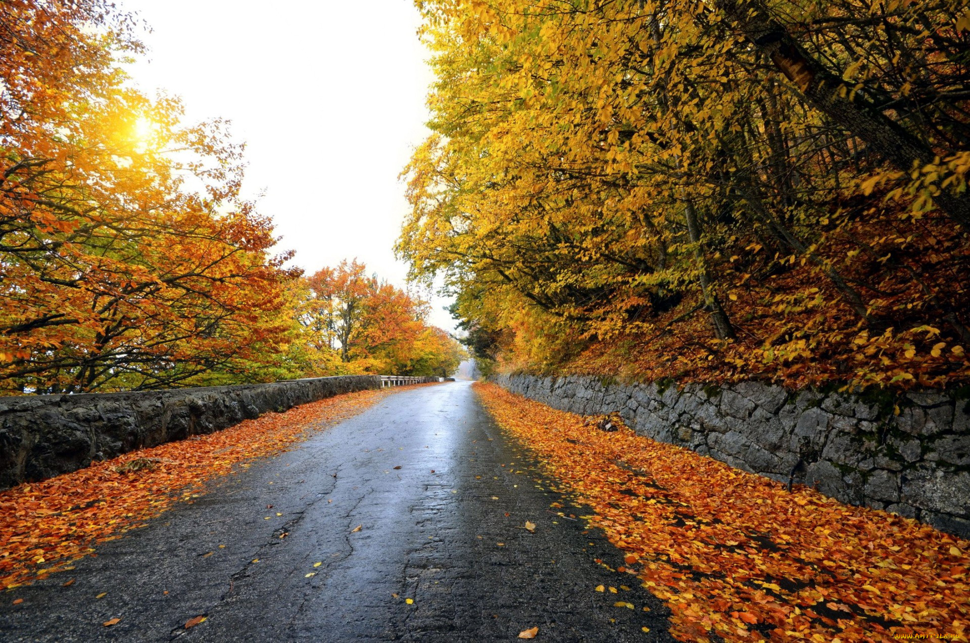 природа, дороги, дорога, листопад, осень