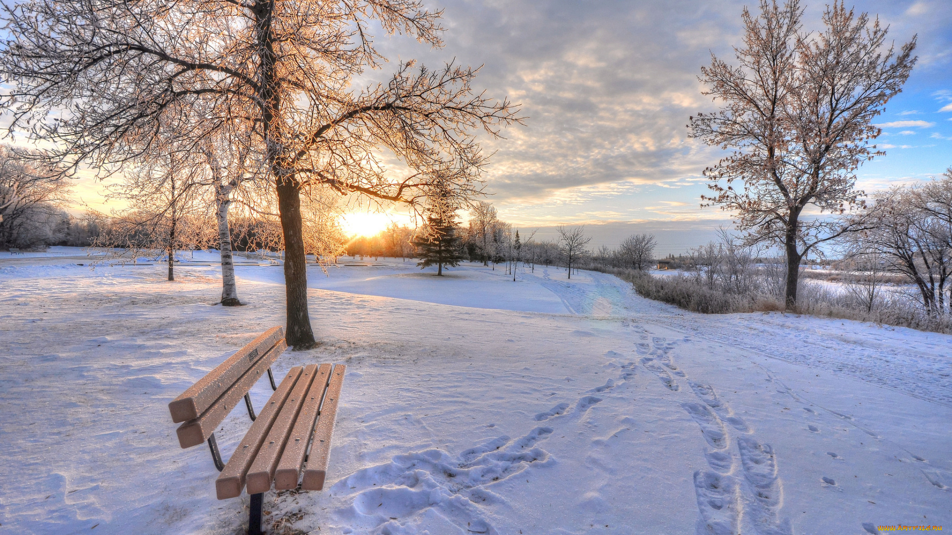природа, зима, поле, солнце, следы, скамейка, снег