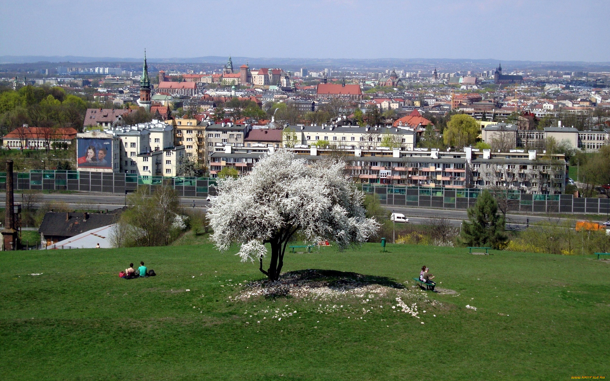 города, краков, , польша, панорама, весна, дерево, цветущее, лужайка