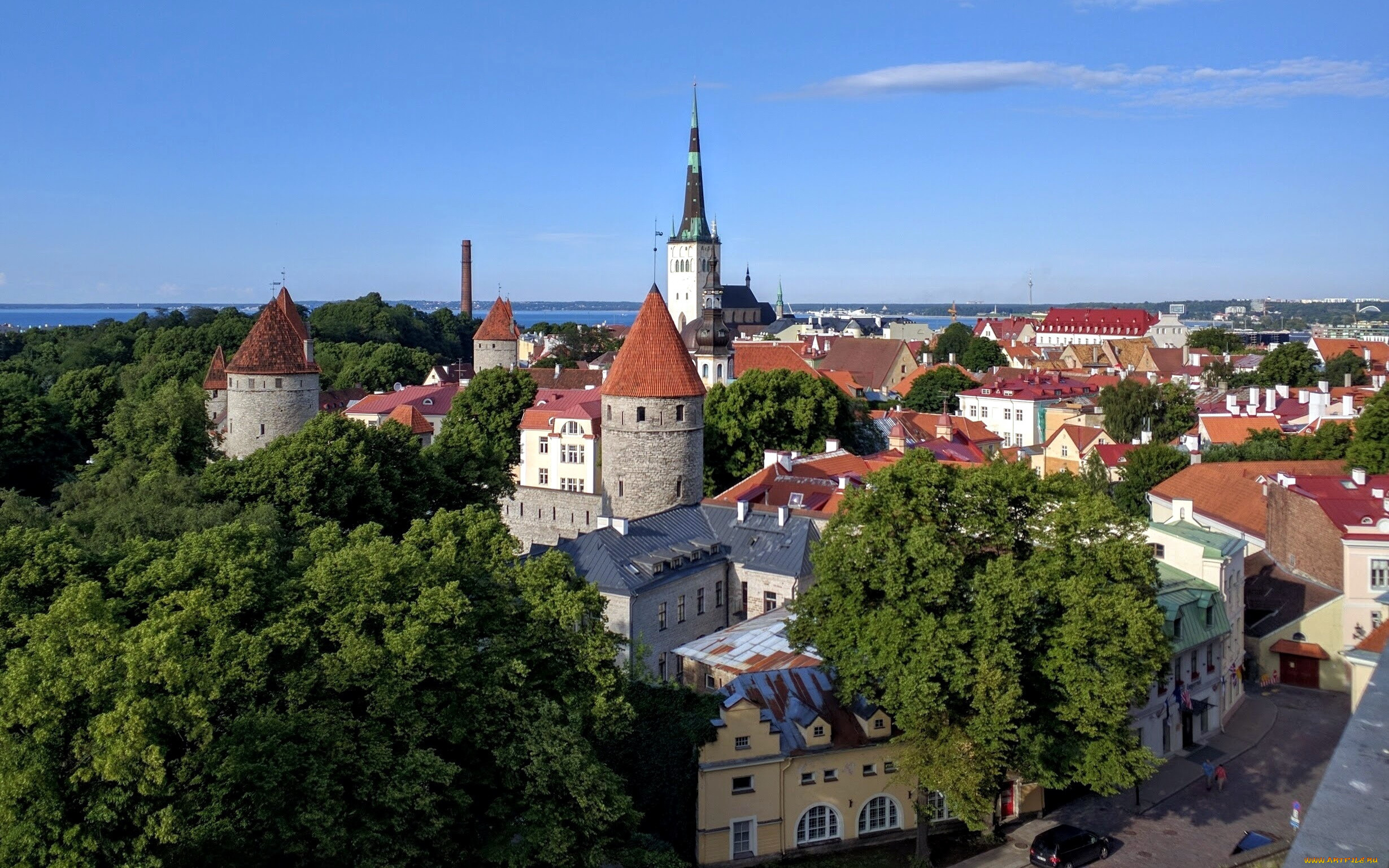 города, таллин, , эстония, панорама, башни, деревья