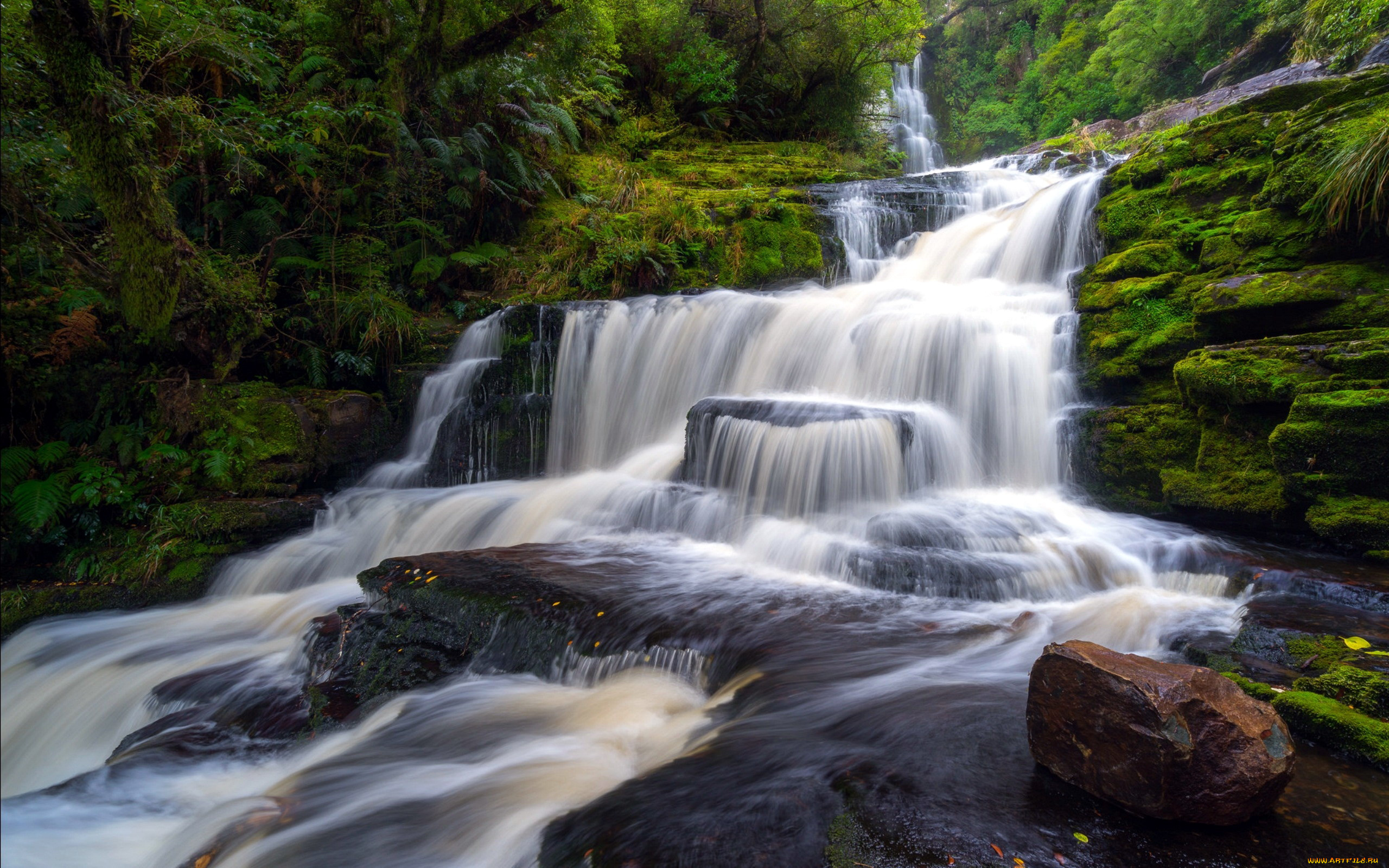 mcclean, falls, , new, zealand, природа, водопады, new, zealand, mcclean, falls