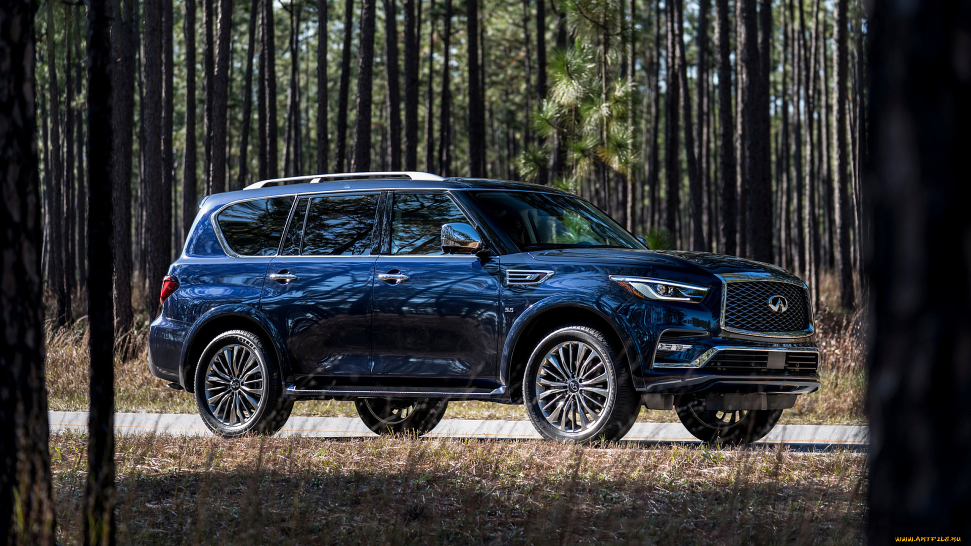 infiniti, qx80, 2018, автомобили, infiniti, hermosa, color, blue, 2018, qx80