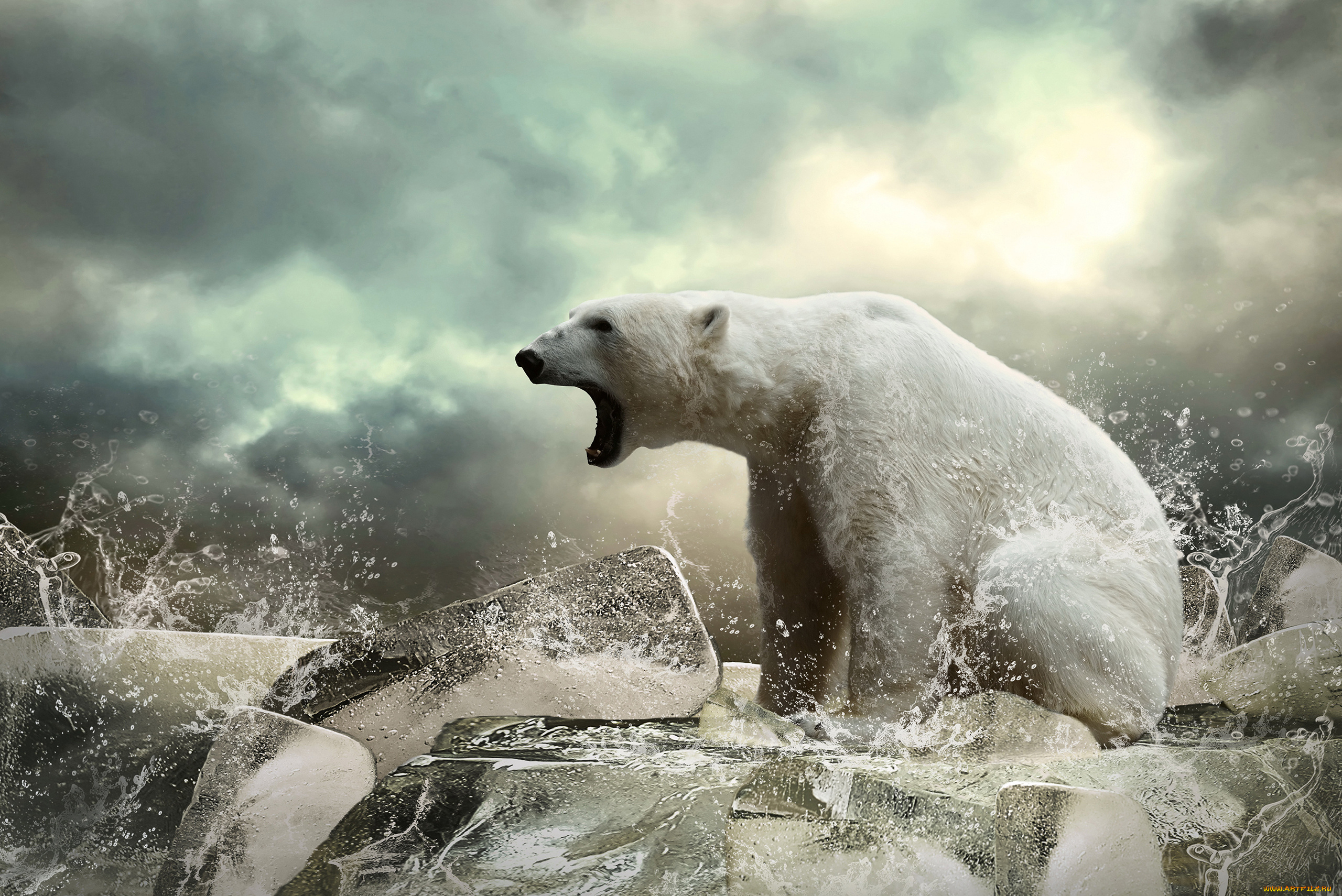 белый, животные, медведи, полярный, медведь, хищники, медвежьи, млекопитающие, снег, мороз, льды, шерсть, когти, пасть, клыки