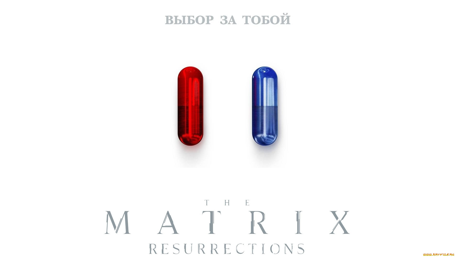 кино, фильмы, the, matrix, , resurrections, матрица, the, matrix, resurrections, воскрешение, две, пилюли, выбор, за, тобой