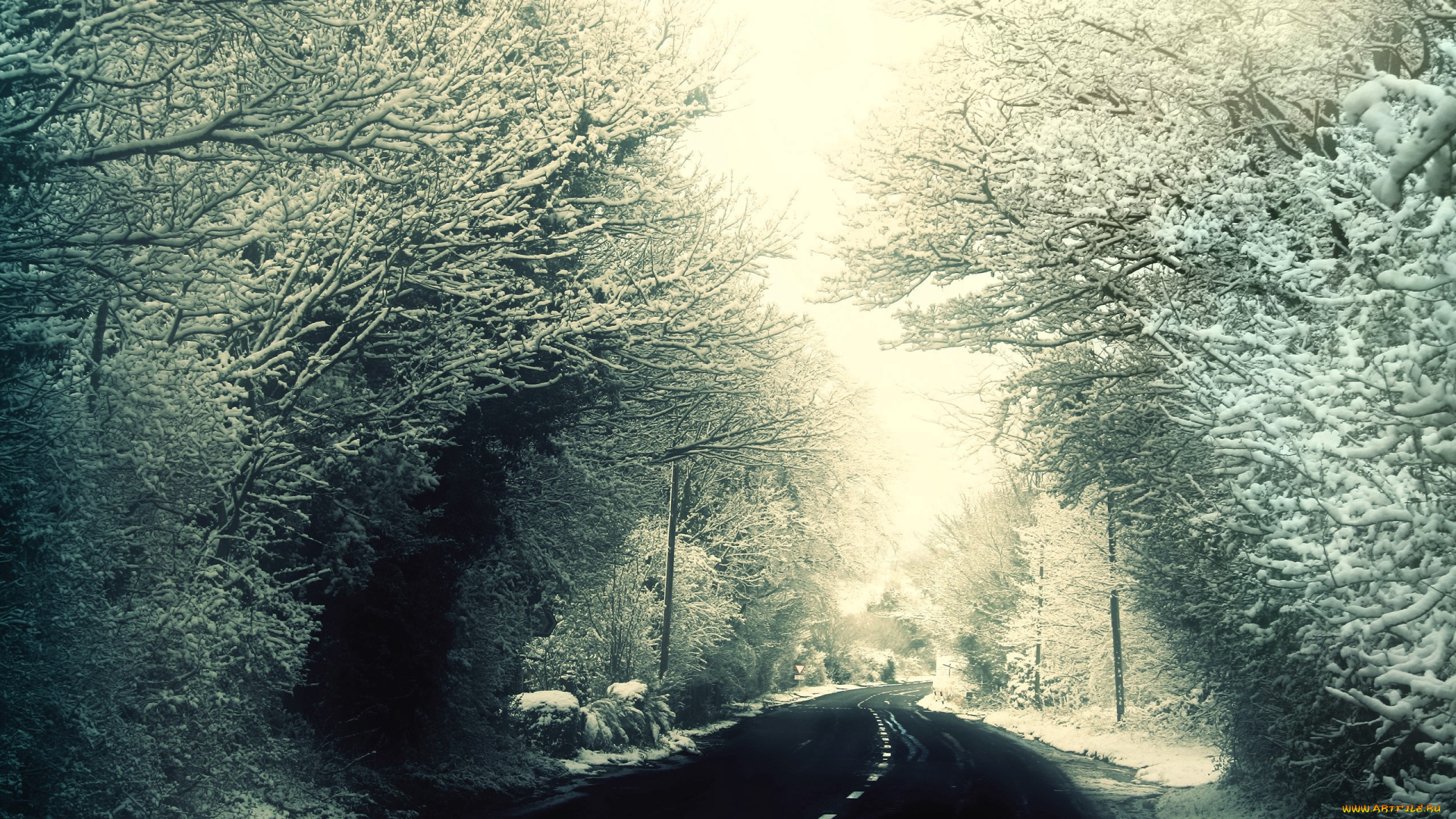 природа, дороги, деревья, снег, дорога