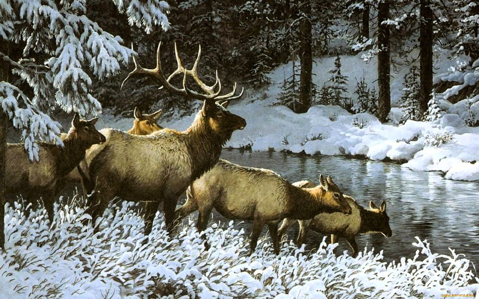 рисованное, jorge, j, mayol, олени, река, снег, лес