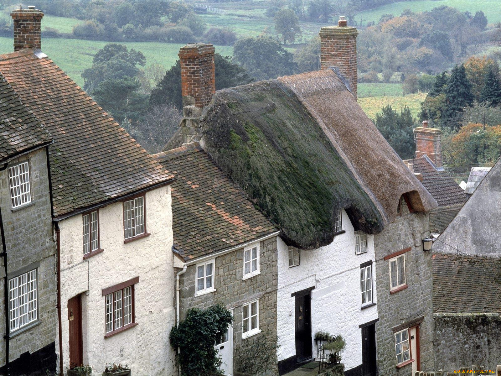 cottages, shaftsbury, dorset, england, города, здания, дома