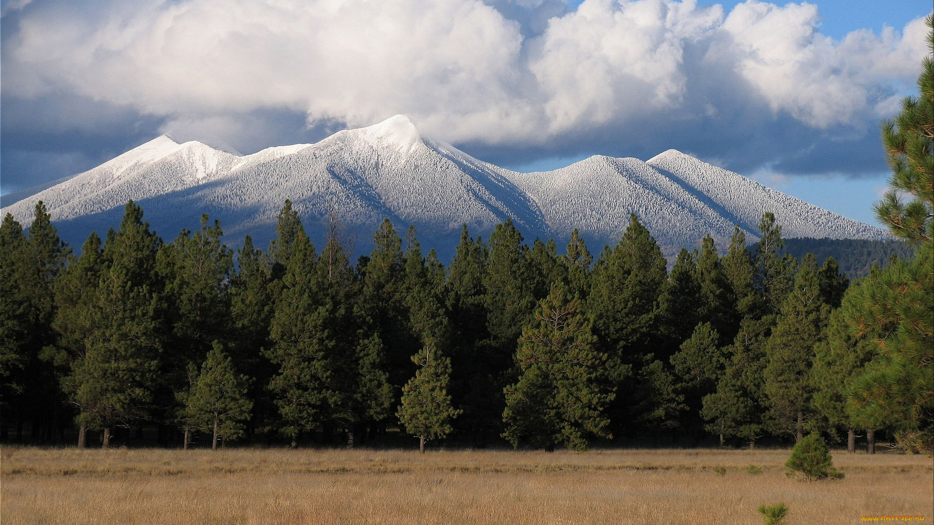 mt, humphreys, arizona, природа, горы