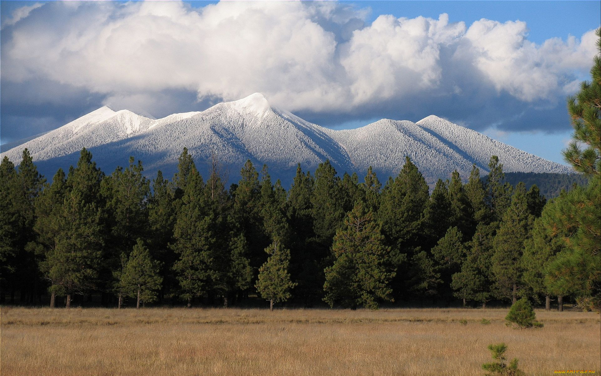 mt, humphreys, arizona, природа, горы