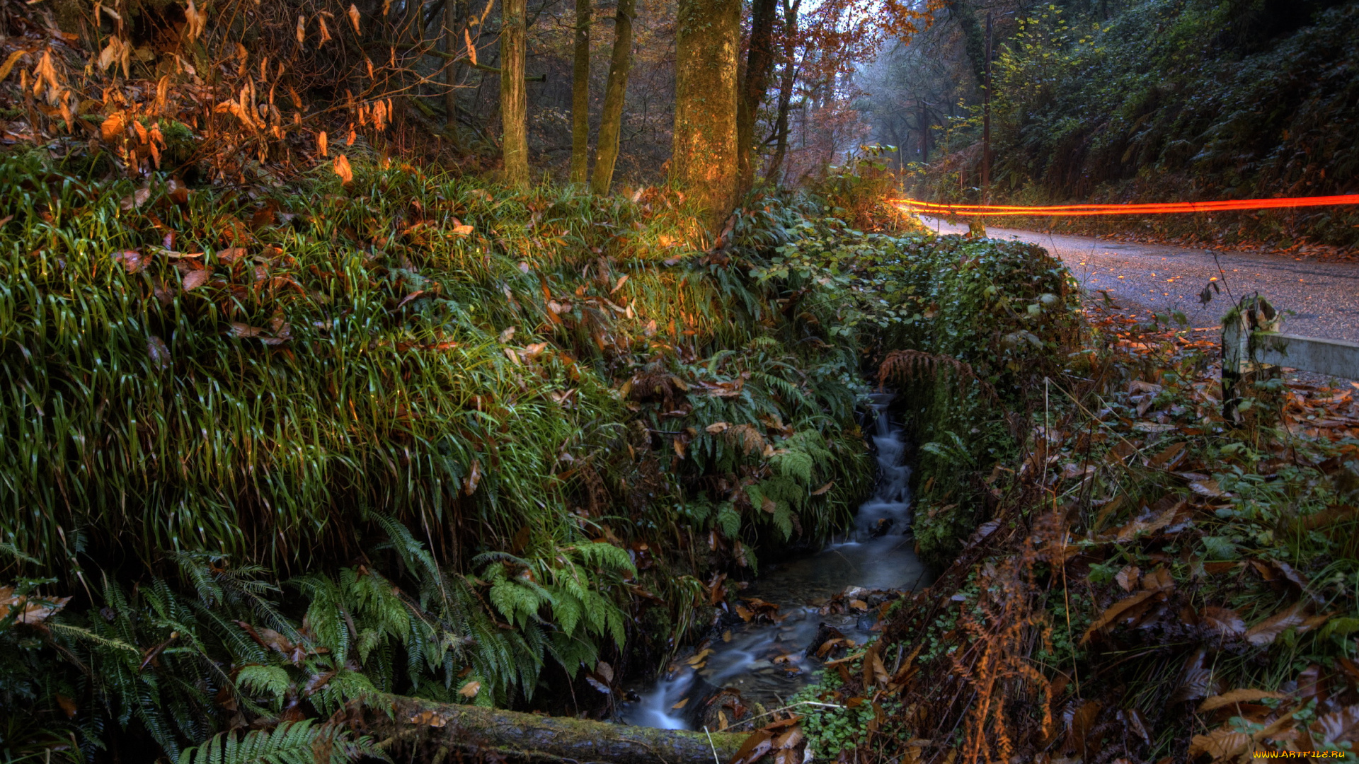 bucks, mills, england, природа, дороги, лес, дорога