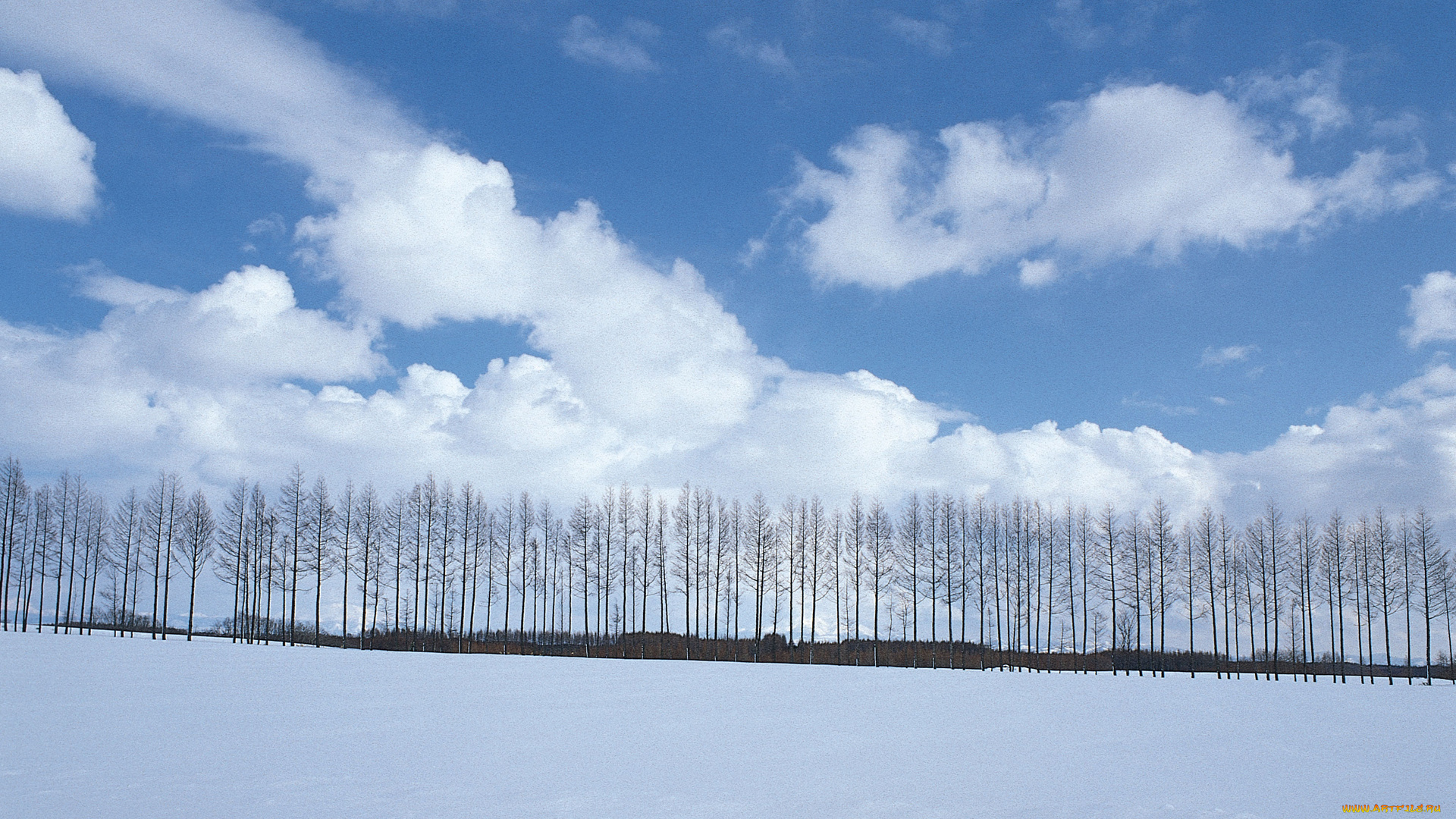 природа, зима, снег, деревья, облака