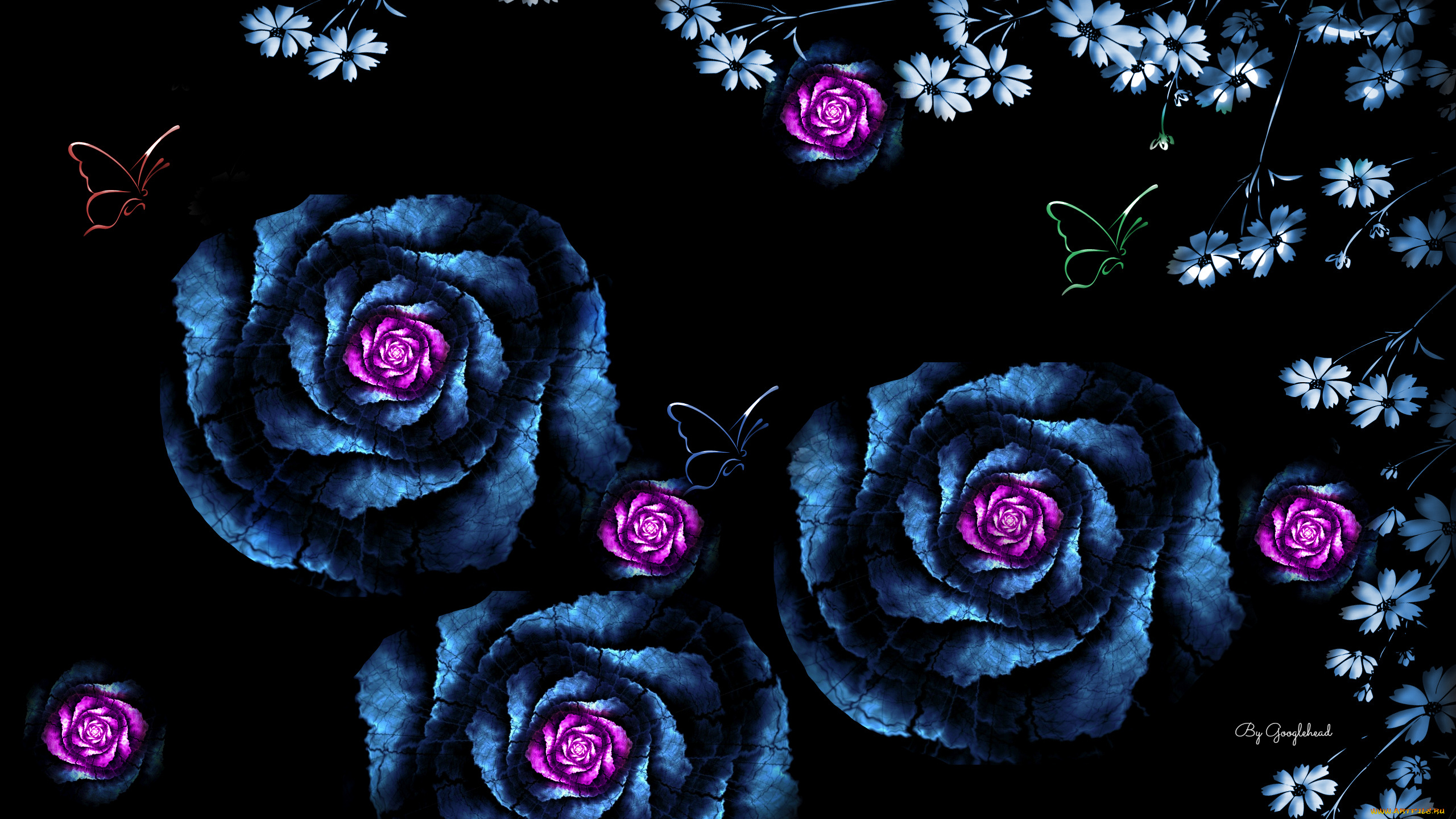 графика космос цветы роза graphics space flowers rose бесплатно