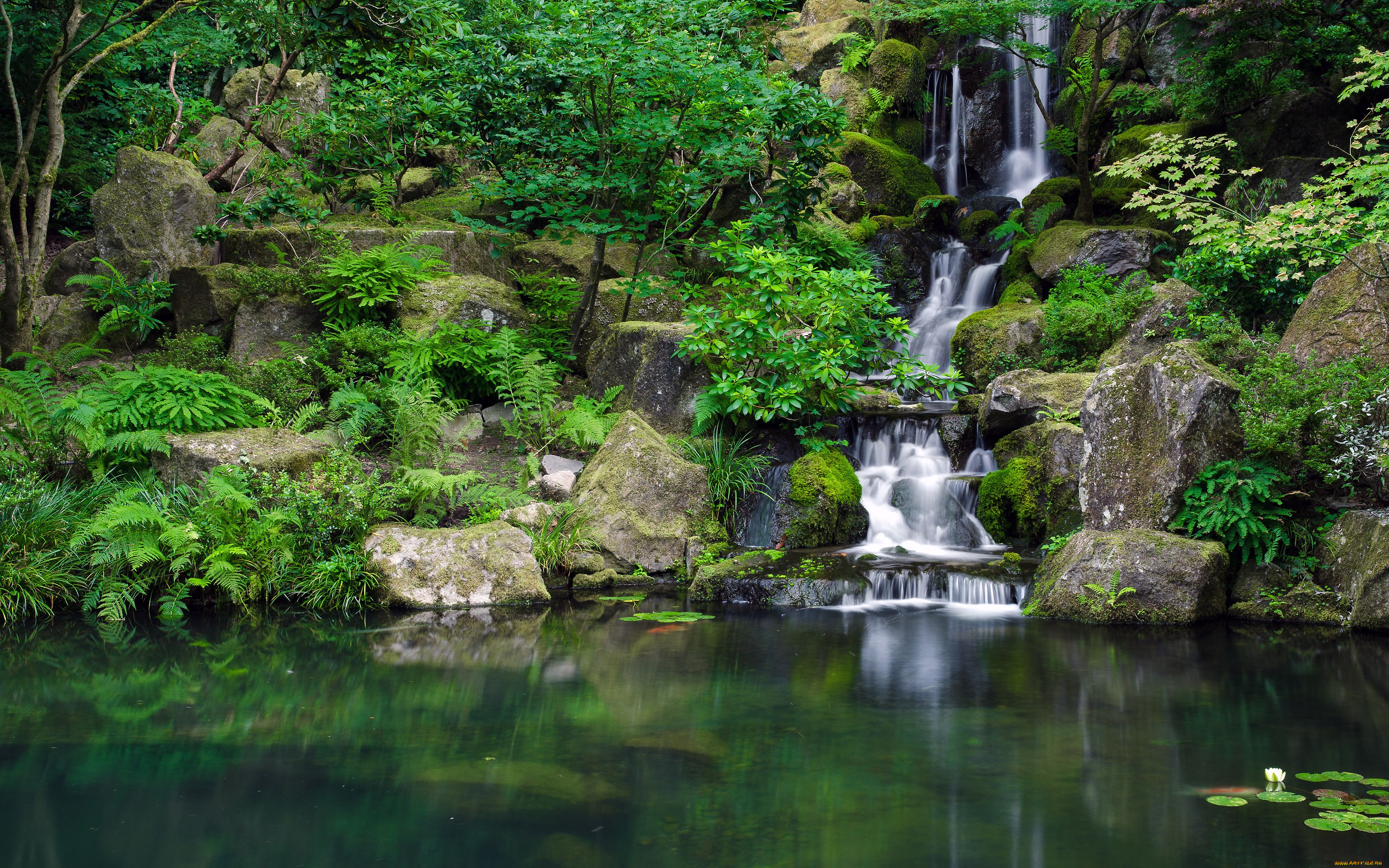 природа, парк, водоём, japanese, garden, камни, водопад