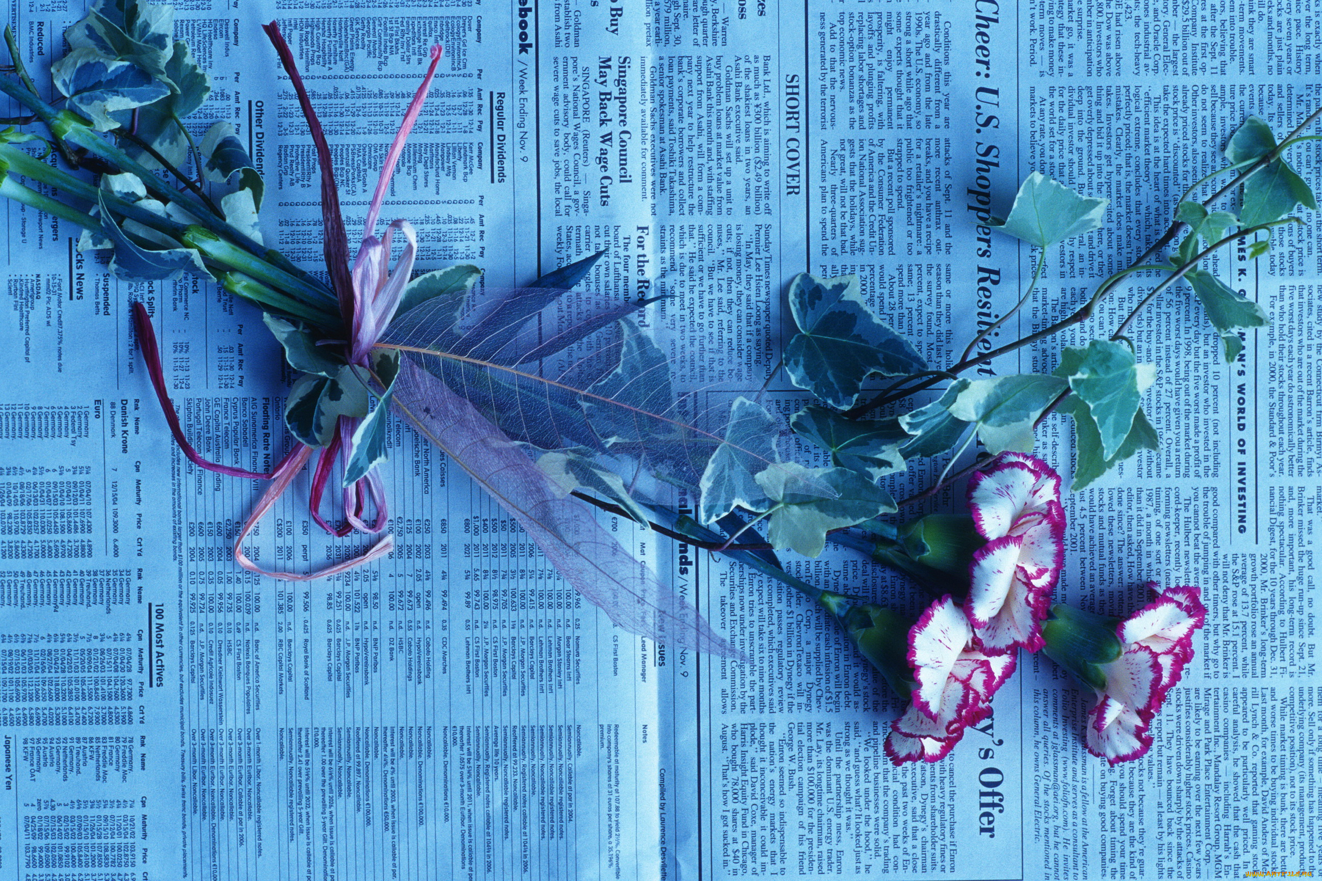 цветы, гвоздики, газета