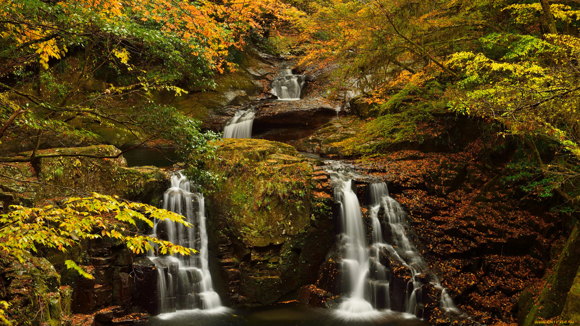 природа, водопады, лес, деревья, скалы, осень, ручей, поток, водопад