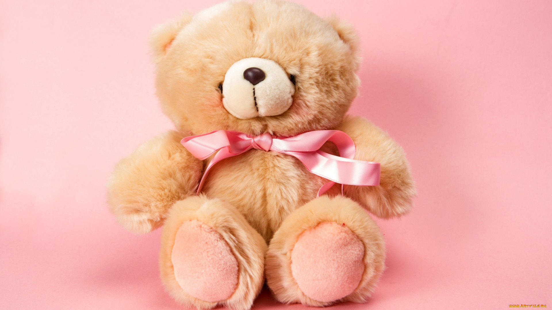 разное, игрушки, плюшевый, мишка, cute, teddy, игрушка, toy, pink, bear