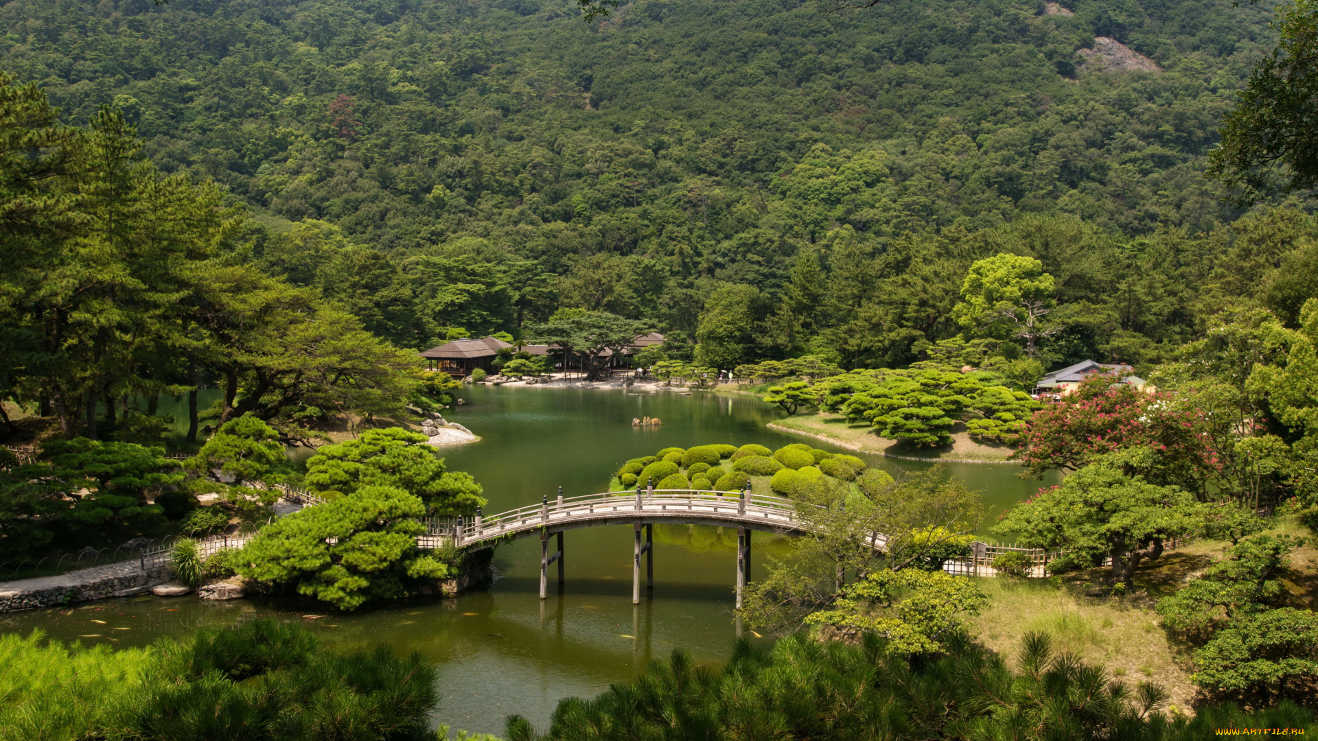 takamatsu, japan, ritsurin, garden, природа, парк, озеро, япония, деревья, пейзаж, мостик