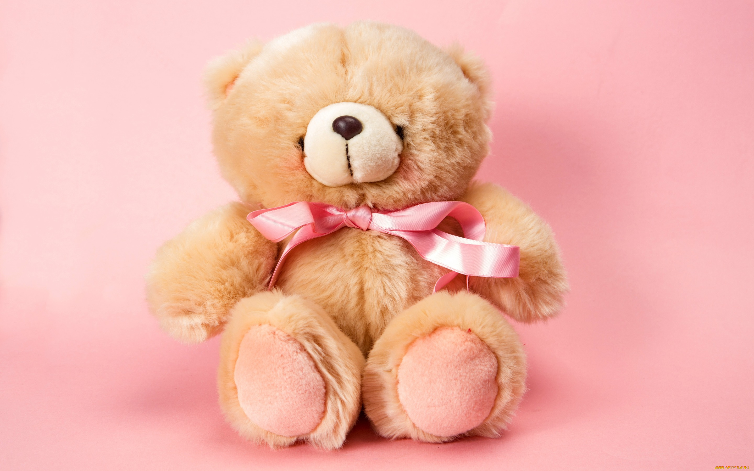 разное, игрушки, плюшевый, мишка, cute, teddy, игрушка, toy, pink, bear