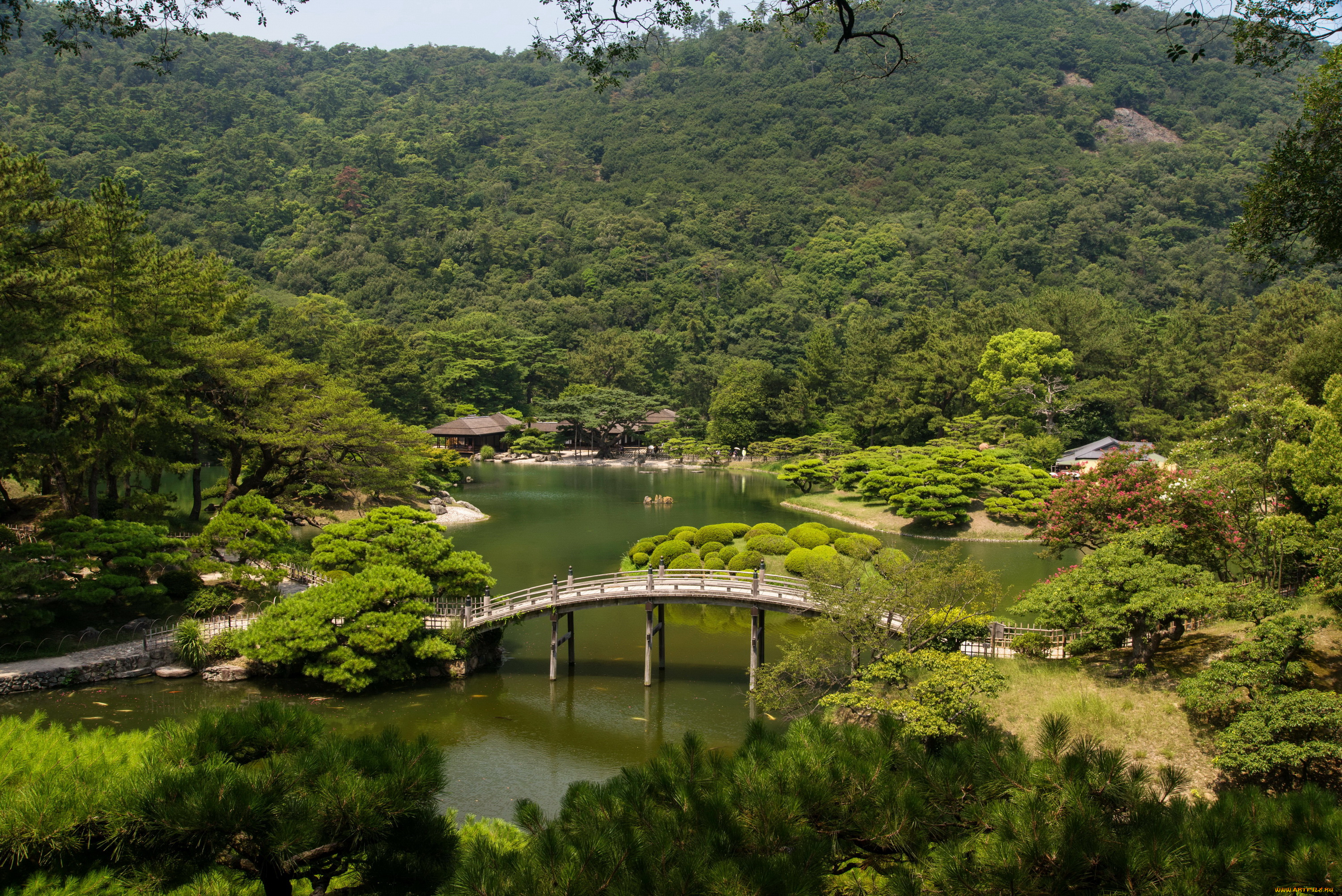 takamatsu, japan, ritsurin, garden, природа, парк, озеро, япония, деревья, пейзаж, мостик