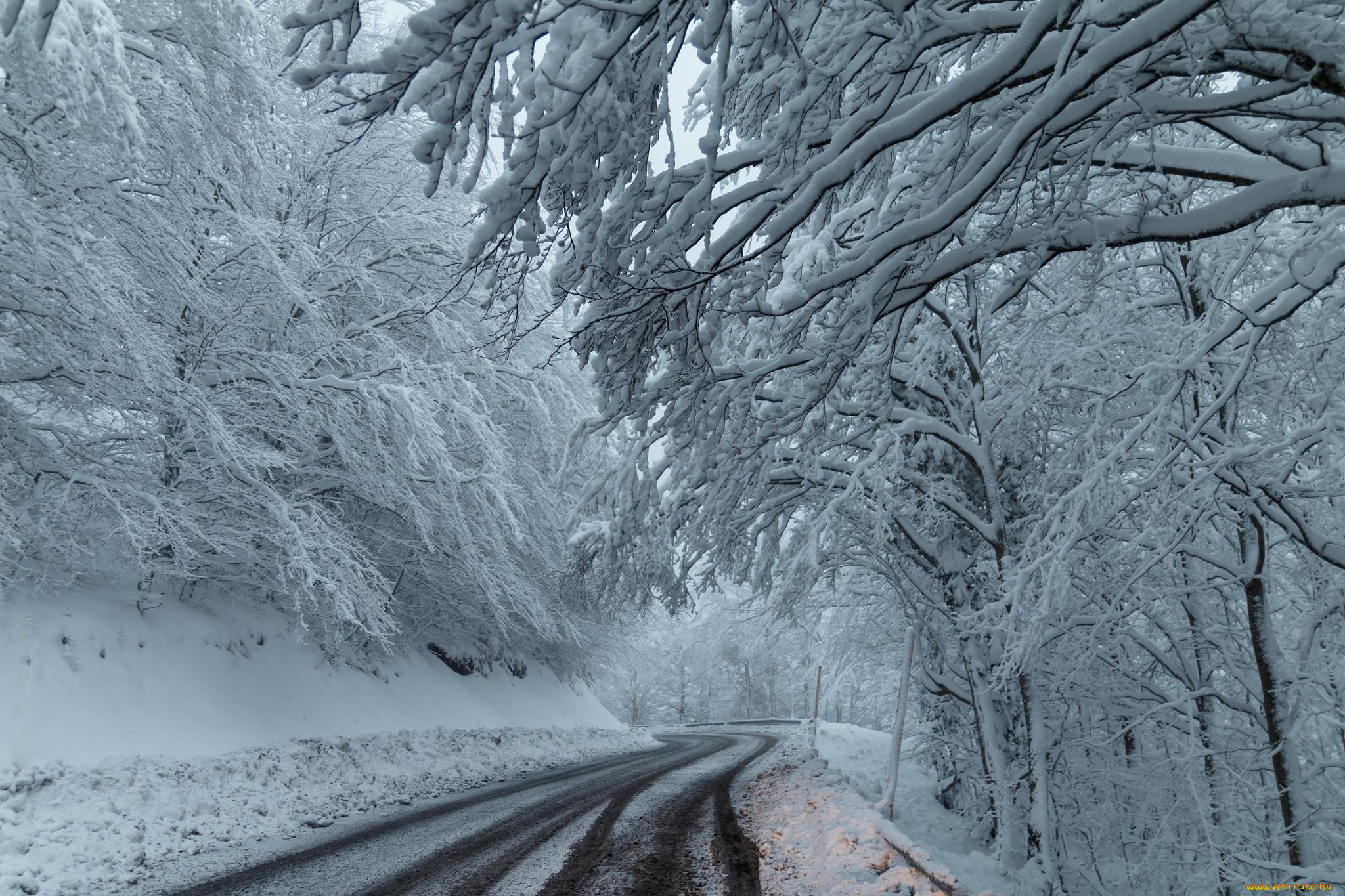 природа, дороги, деревья, дорога, снег, зима, лес