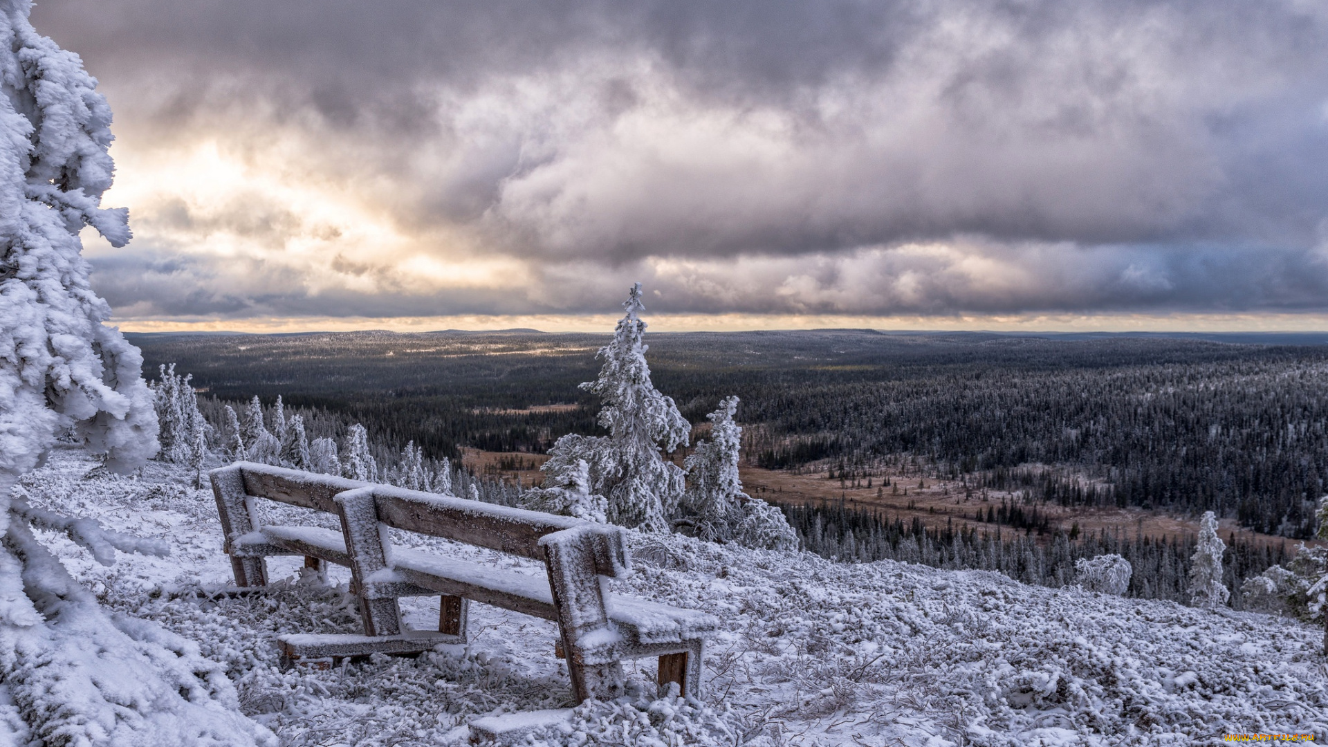 природа, пейзажи, finland, зима, posio, финляндия