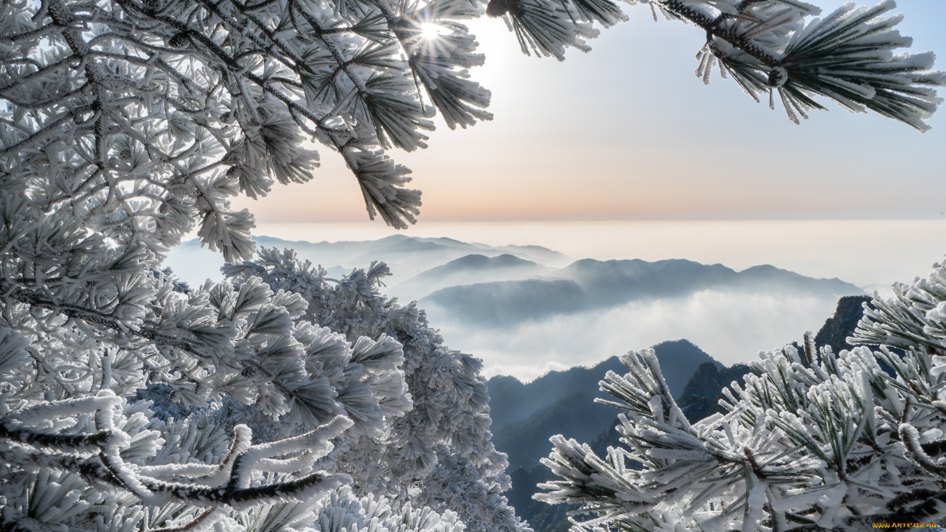 природа, зима, горы, хуаншань, китай, сосны, иней, china, huangshan, mountains, ветки