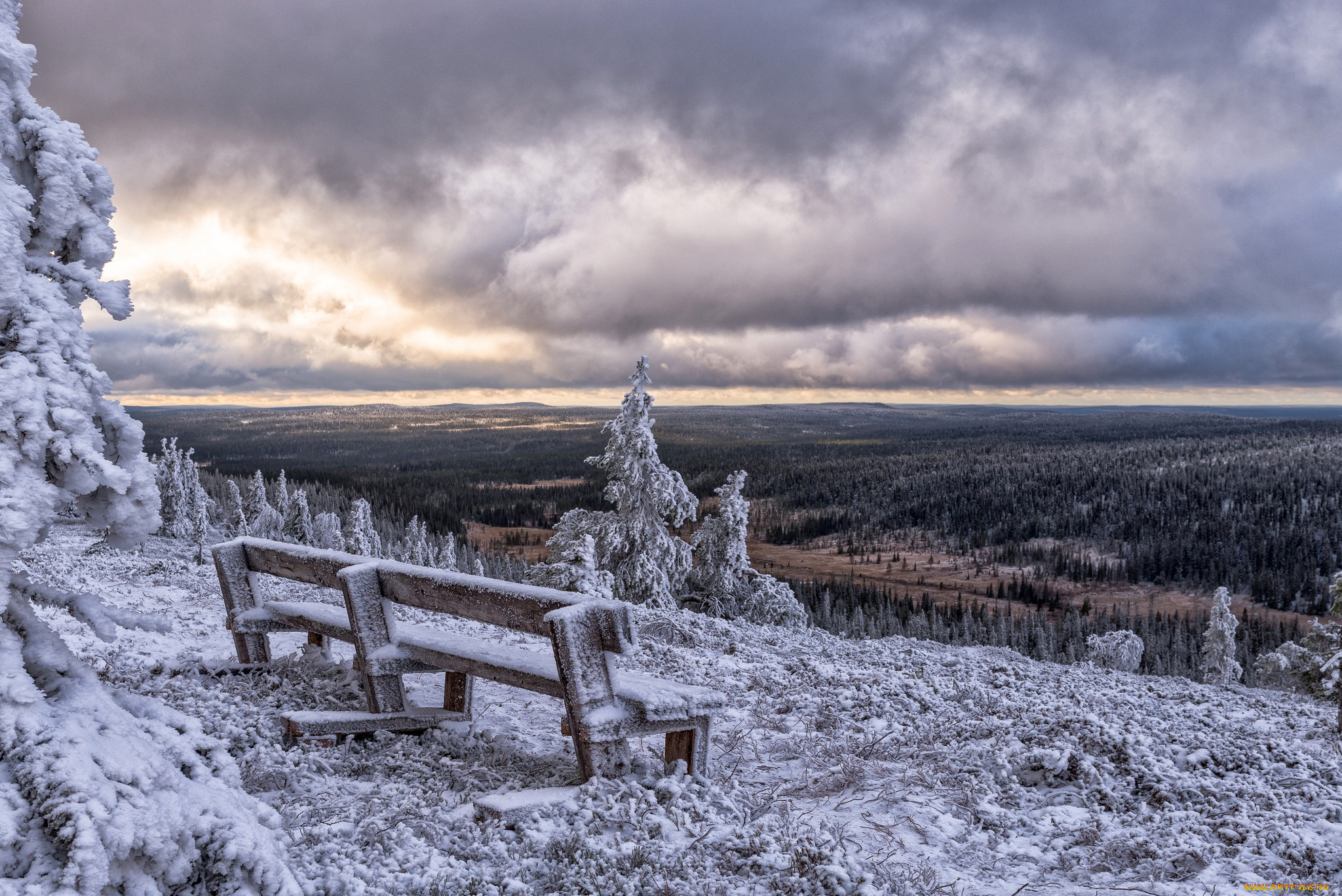 природа, пейзажи, finland, зима, posio, финляндия