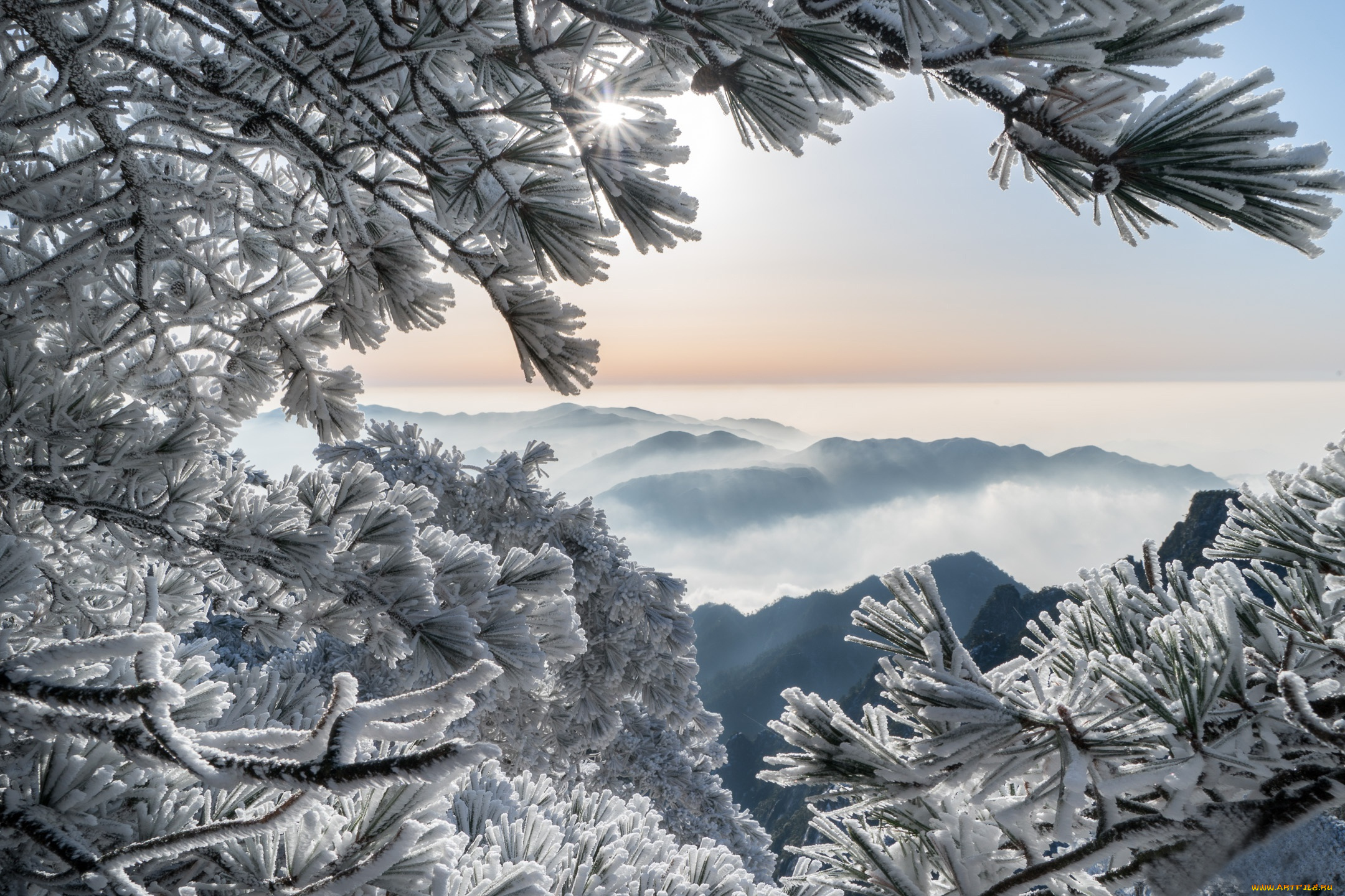 природа, зима, горы, хуаншань, китай, сосны, иней, china, huangshan, mountains, ветки