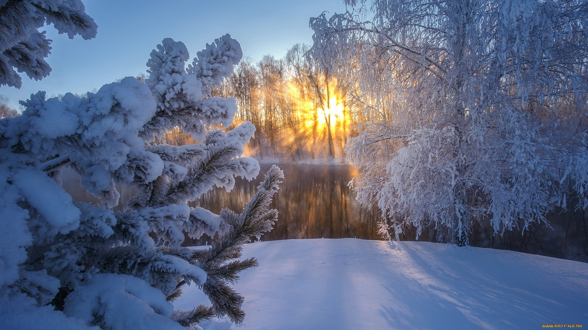 природа, зима, солнце, ель, россия, снег