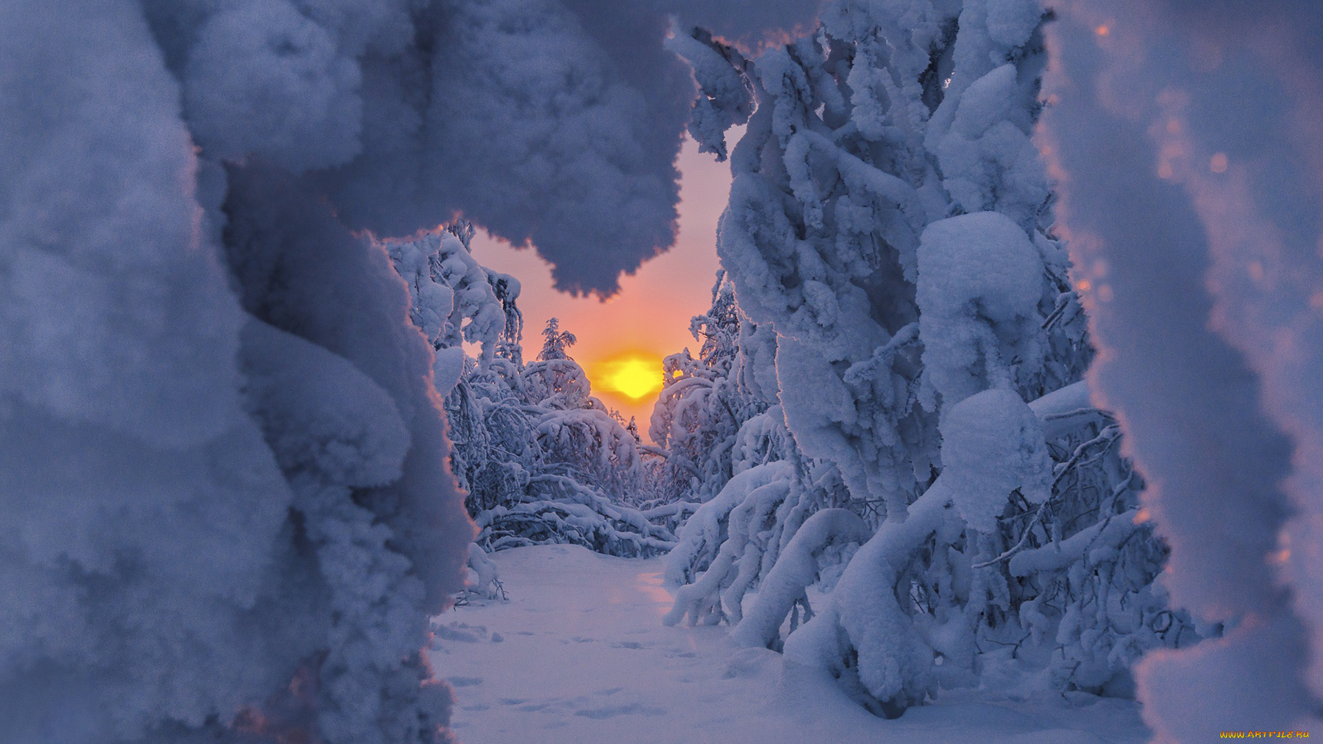 природа, зима, заснеженная, тропа, деревья, восход, солнца