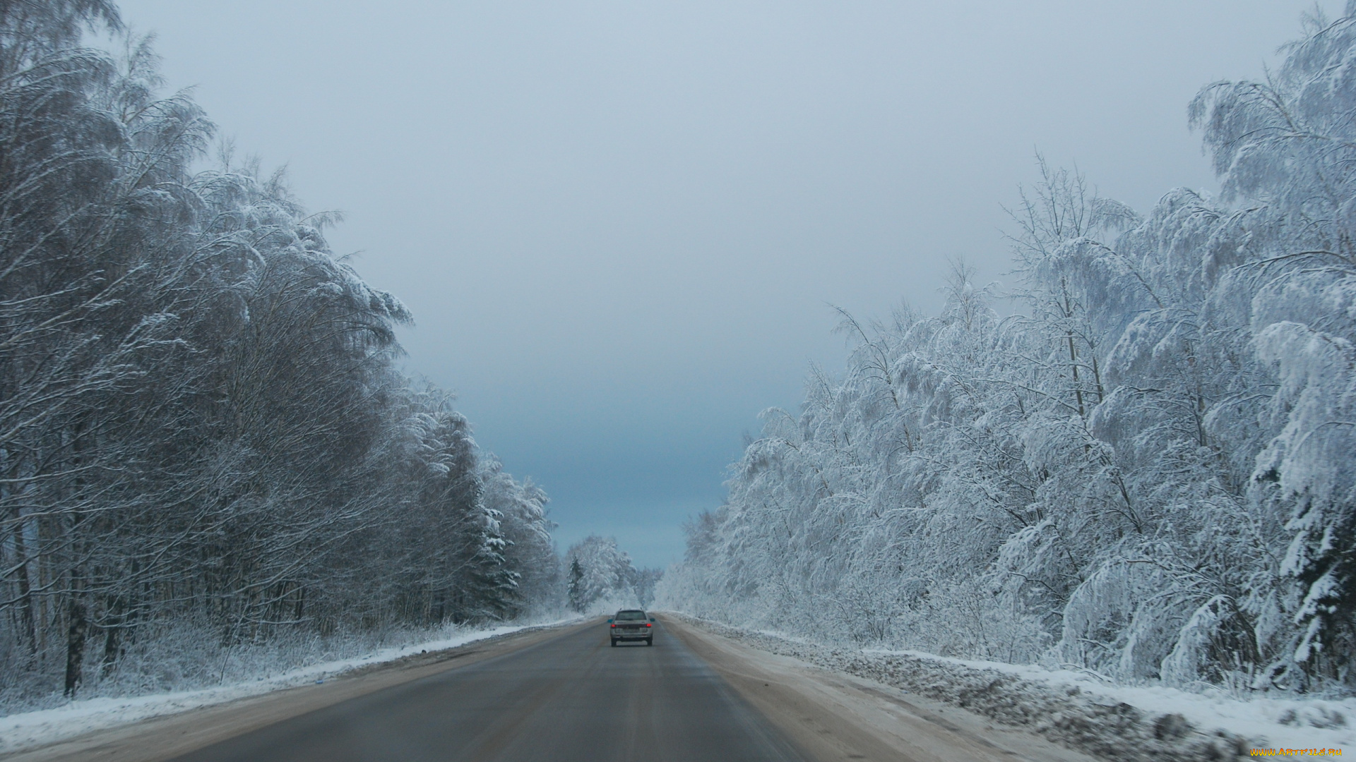 природа, дороги, деревья, зима