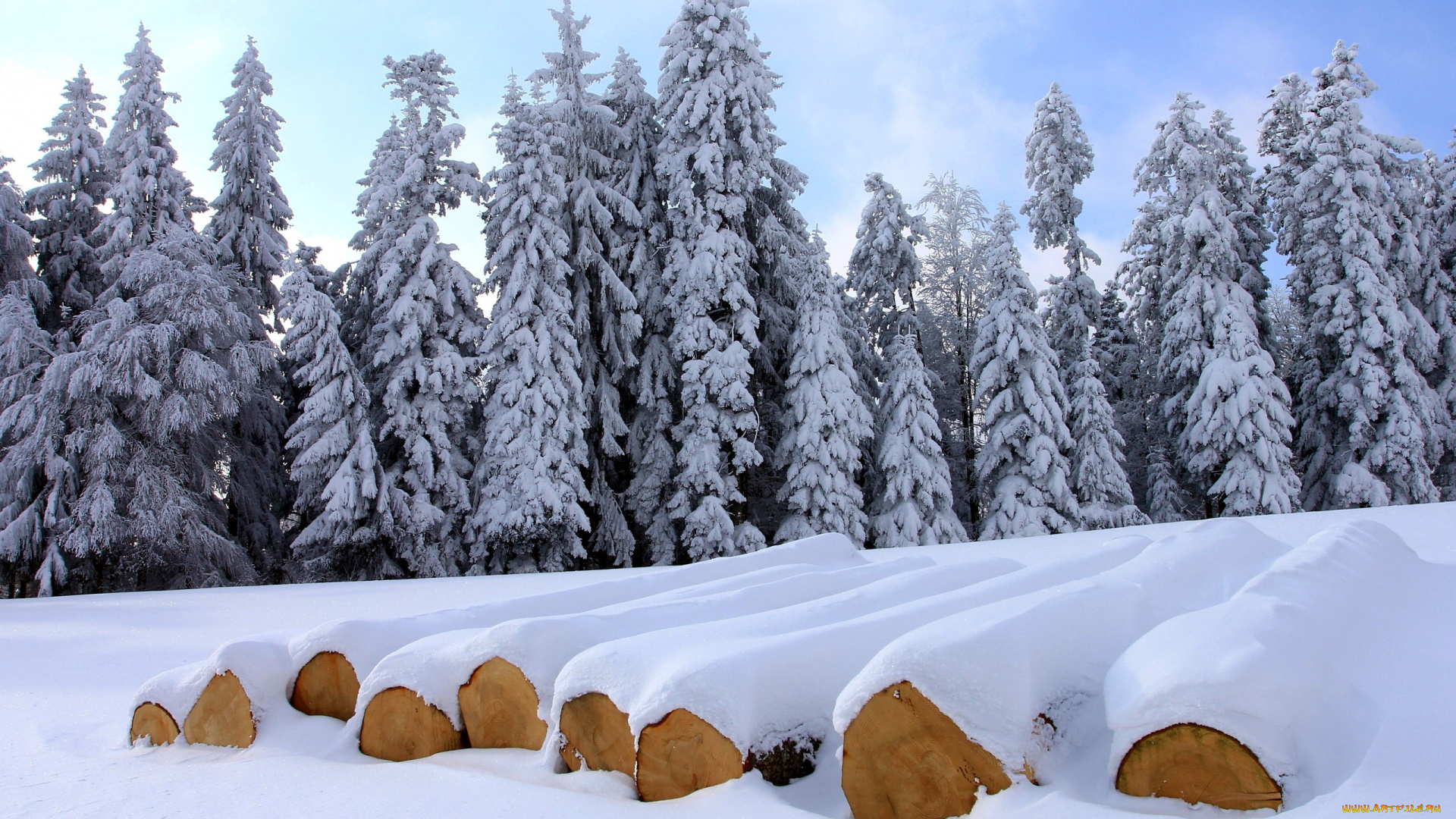 природа, зима, брёвна, ели, деревья, снег