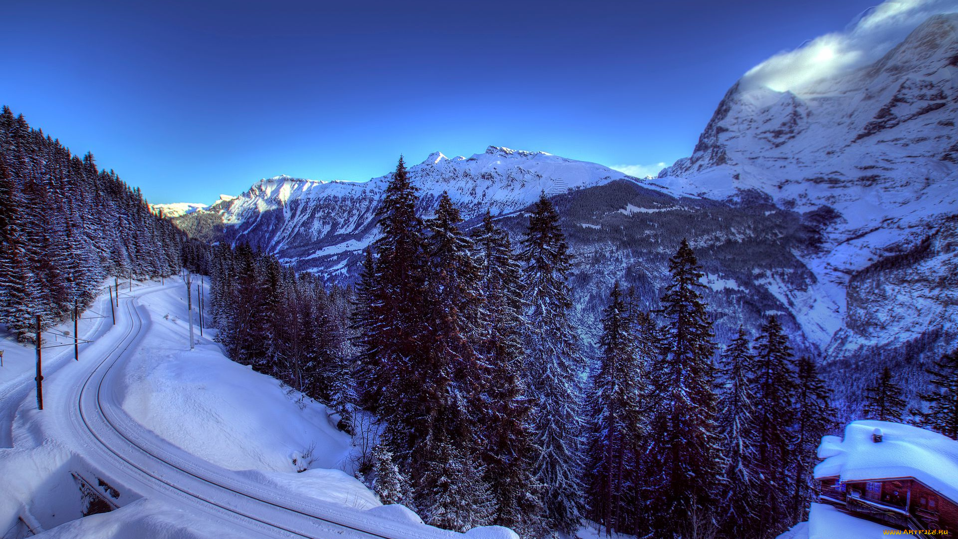 природа, зима, ели, деревья, швейцария, железная, дорога, снег, альпы, домик, горы