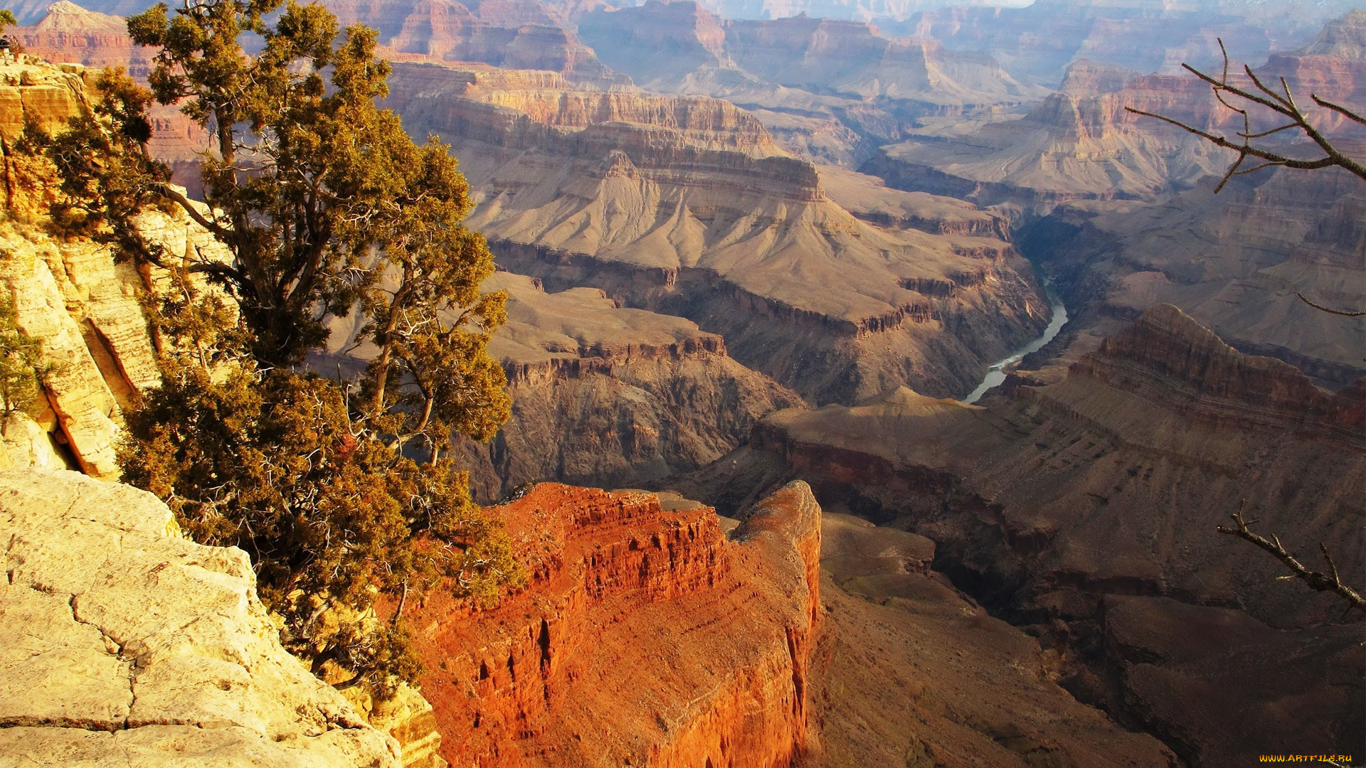 canyon, природа, горы, каньон, дерево, река