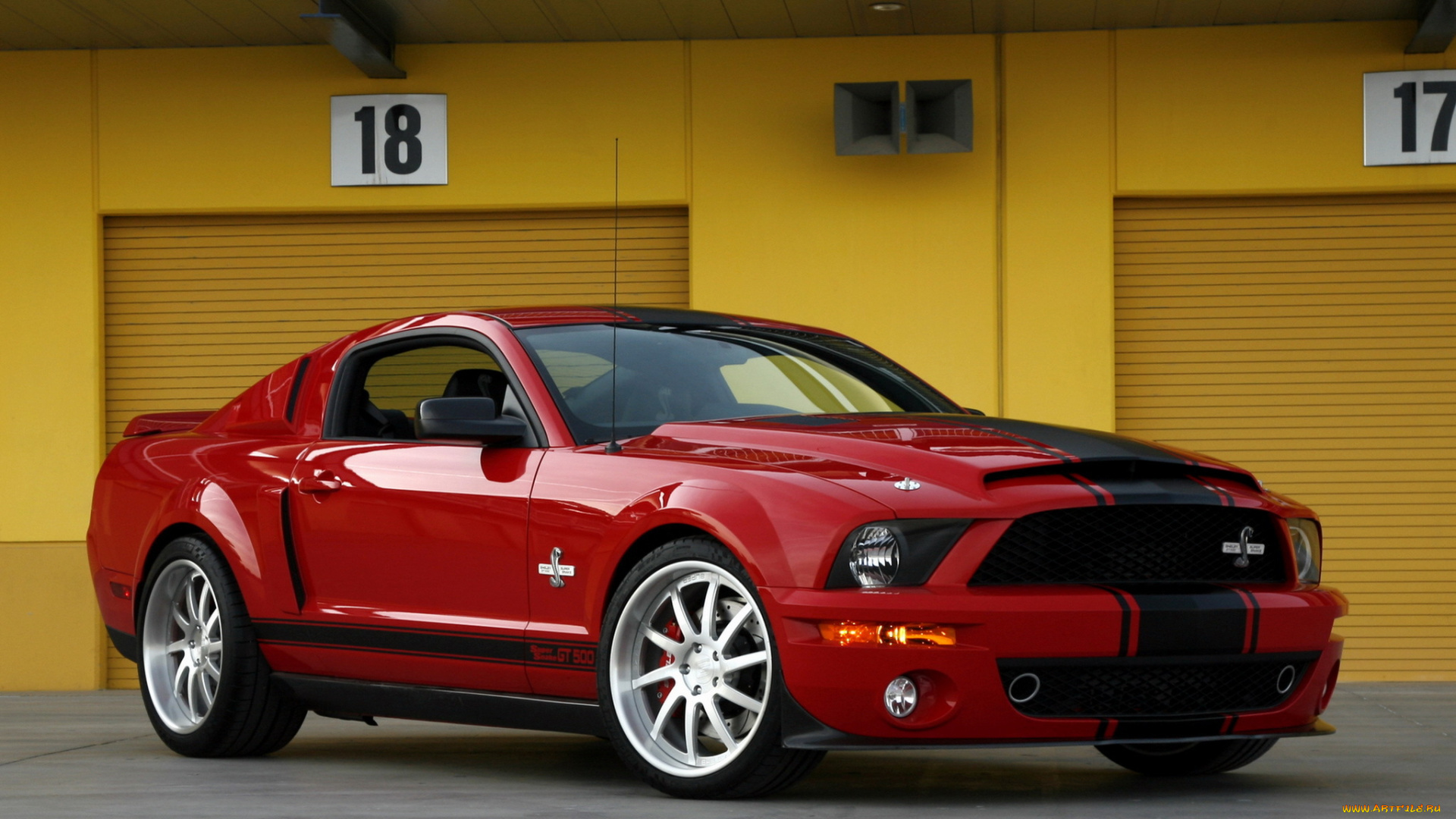 ford, mustang, shelby, gt500, super, snake, 2013, автомобили