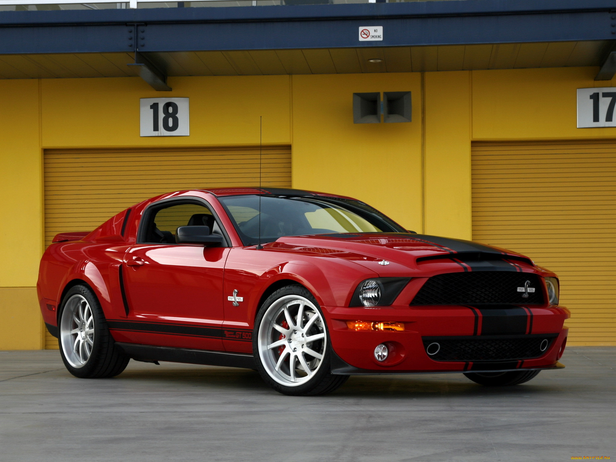 ford, mustang, shelby, gt500, super, snake, 2013, автомобили