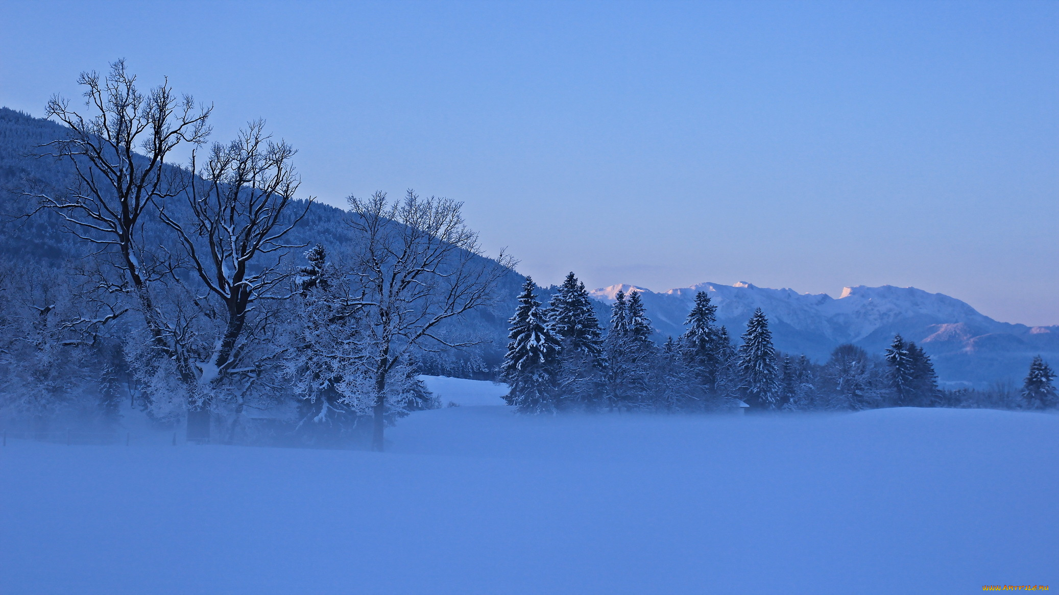 природа, зима, горы, туман, деревья