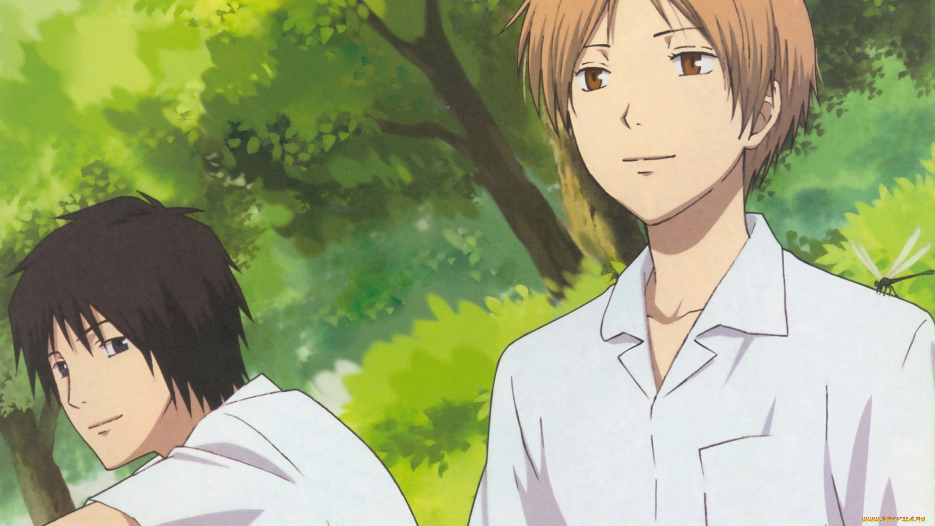 аниме, natsume, yuujinchou, тетрадь, дружбы