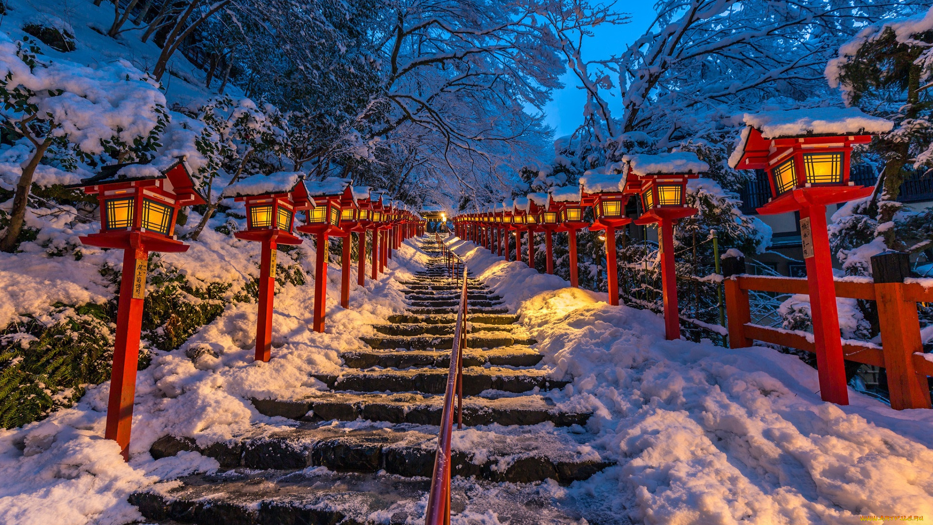 природа, парк, kyoto