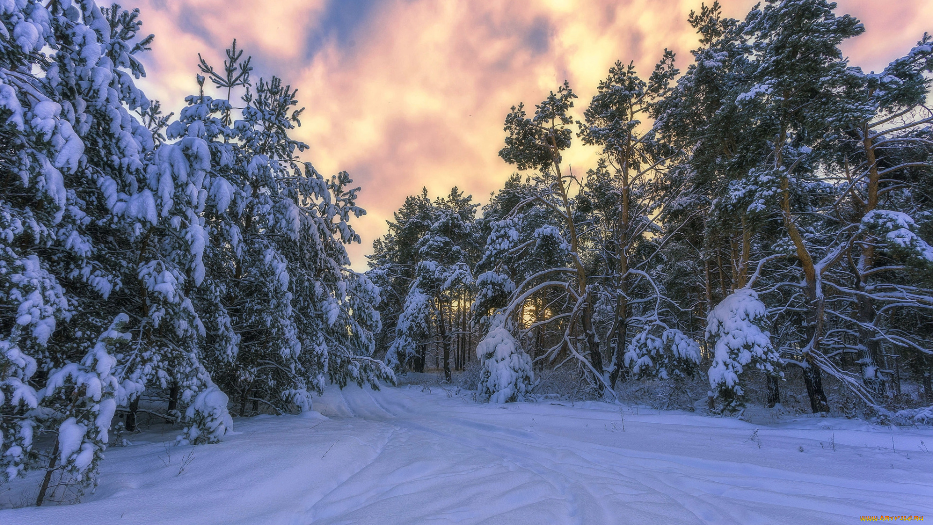природа, зима, снег, лес, дорога