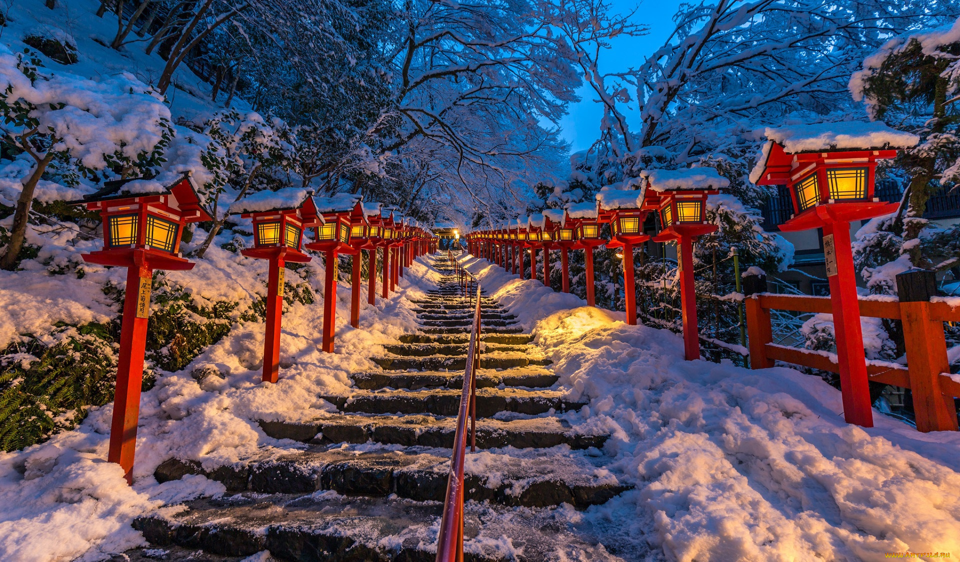 природа, парк, kyoto